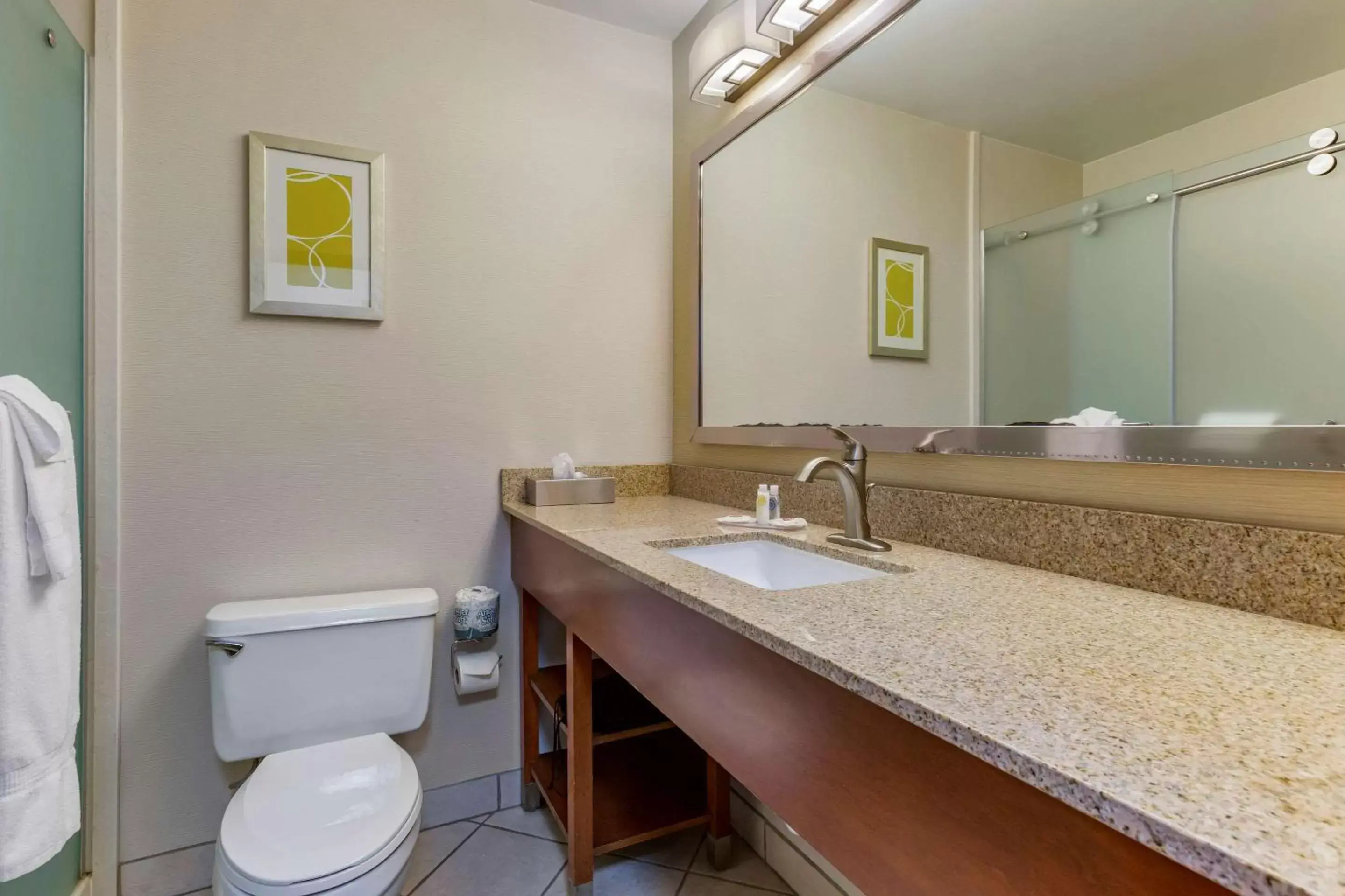 Bathroom in Comfort Inn at Buffalo Bill Village Resort