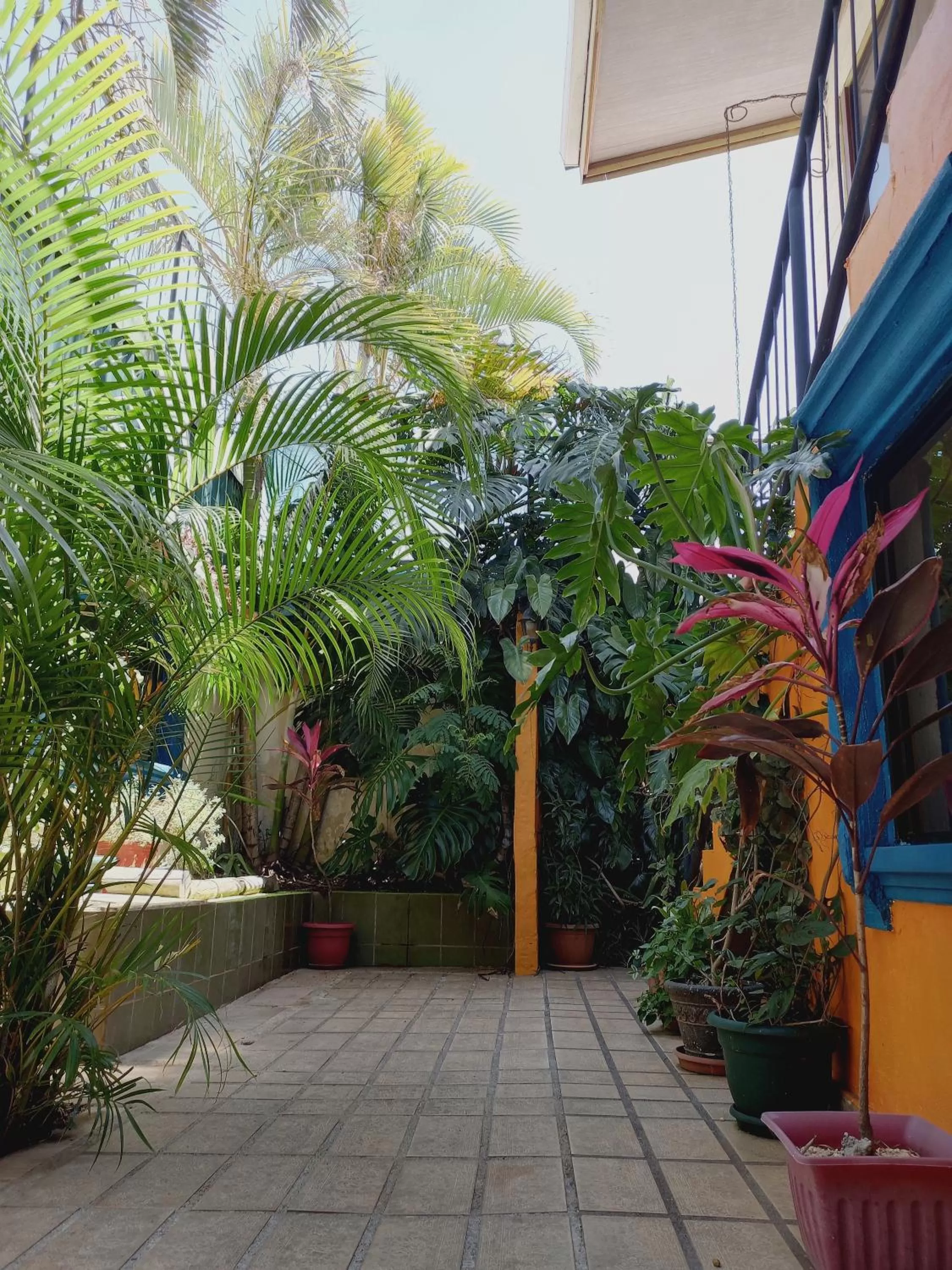 Day in Nirvana Apartament Hostal