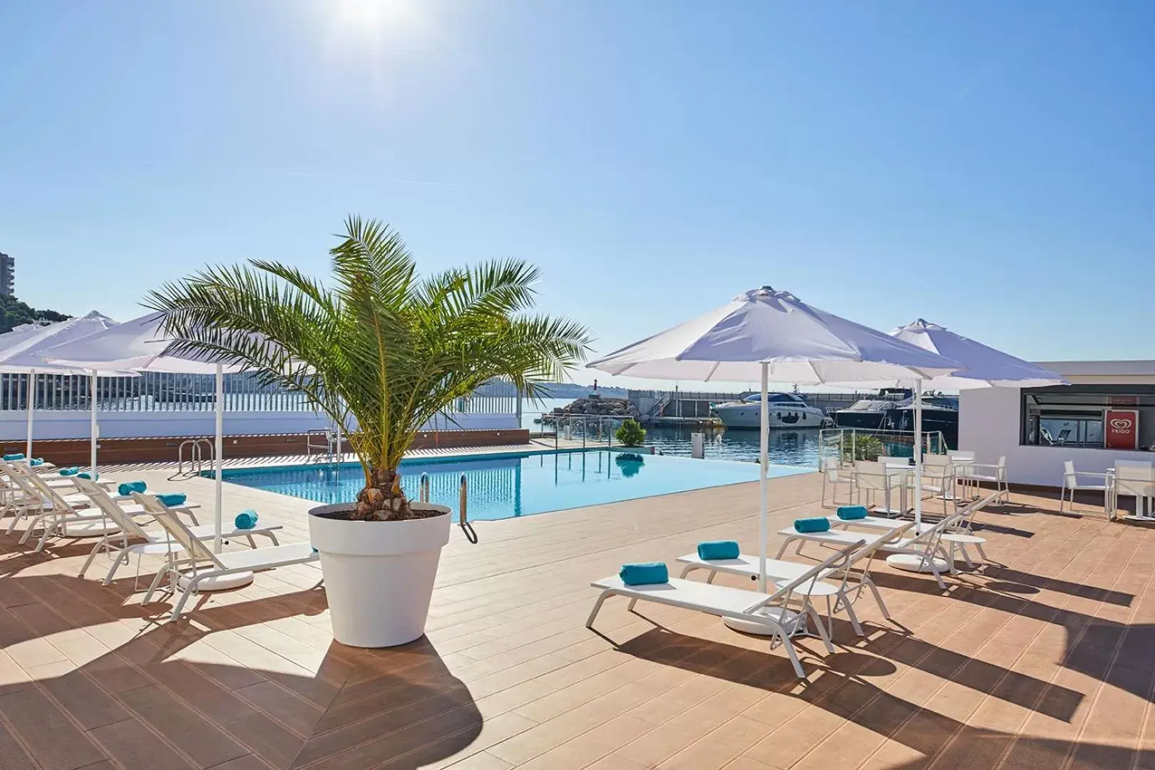 Swimming Pool in Calanova Sports Residence