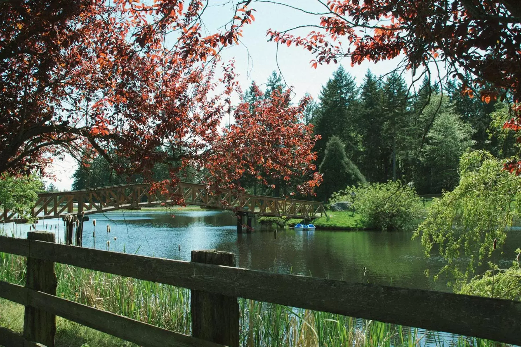 Natural landscape in Wildwood Farm Bed & Breakfast