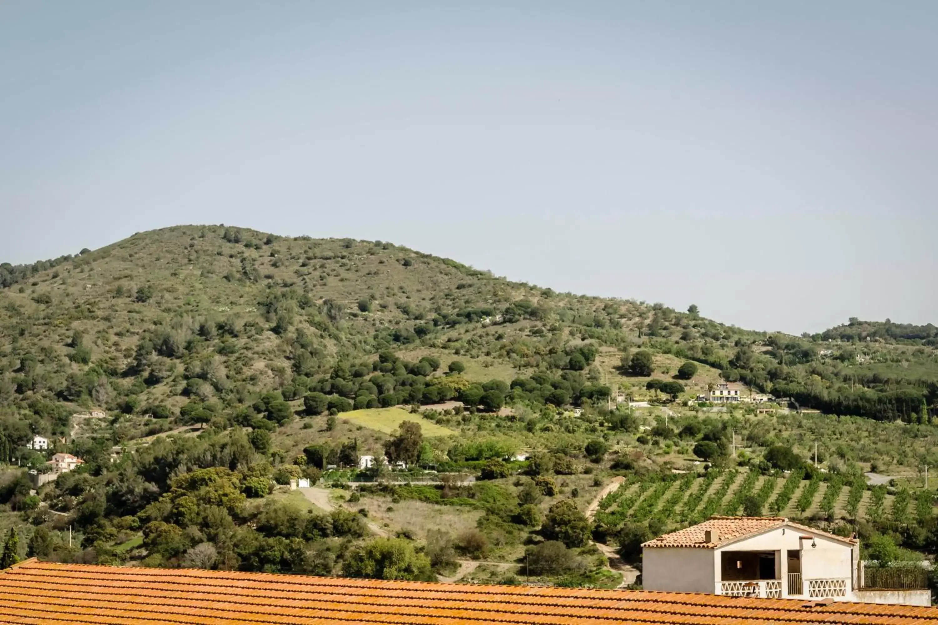 Mountain view in Crisol La Selva