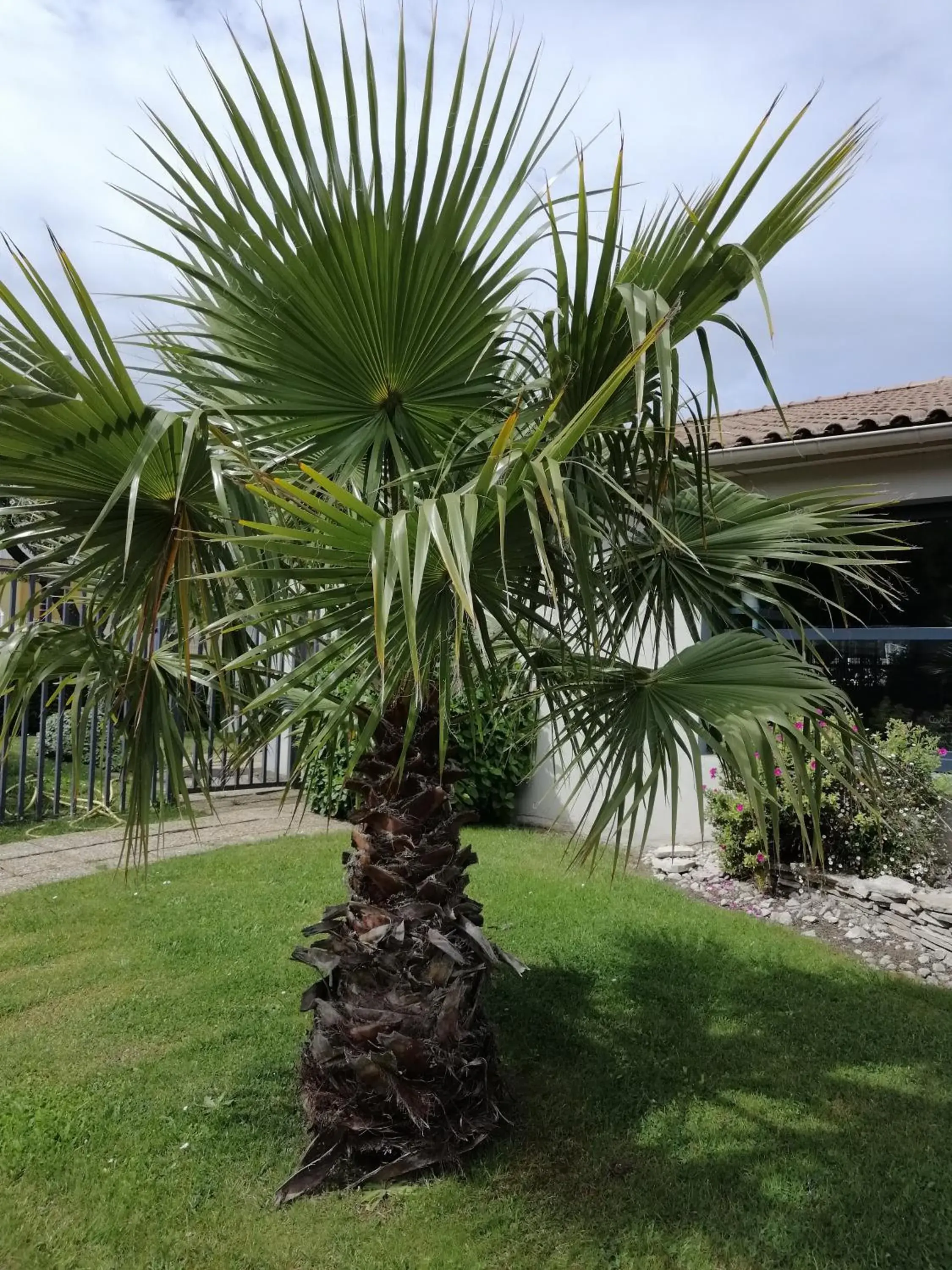 Area and facilities, Garden in Kyriad Avignon Cap Sud