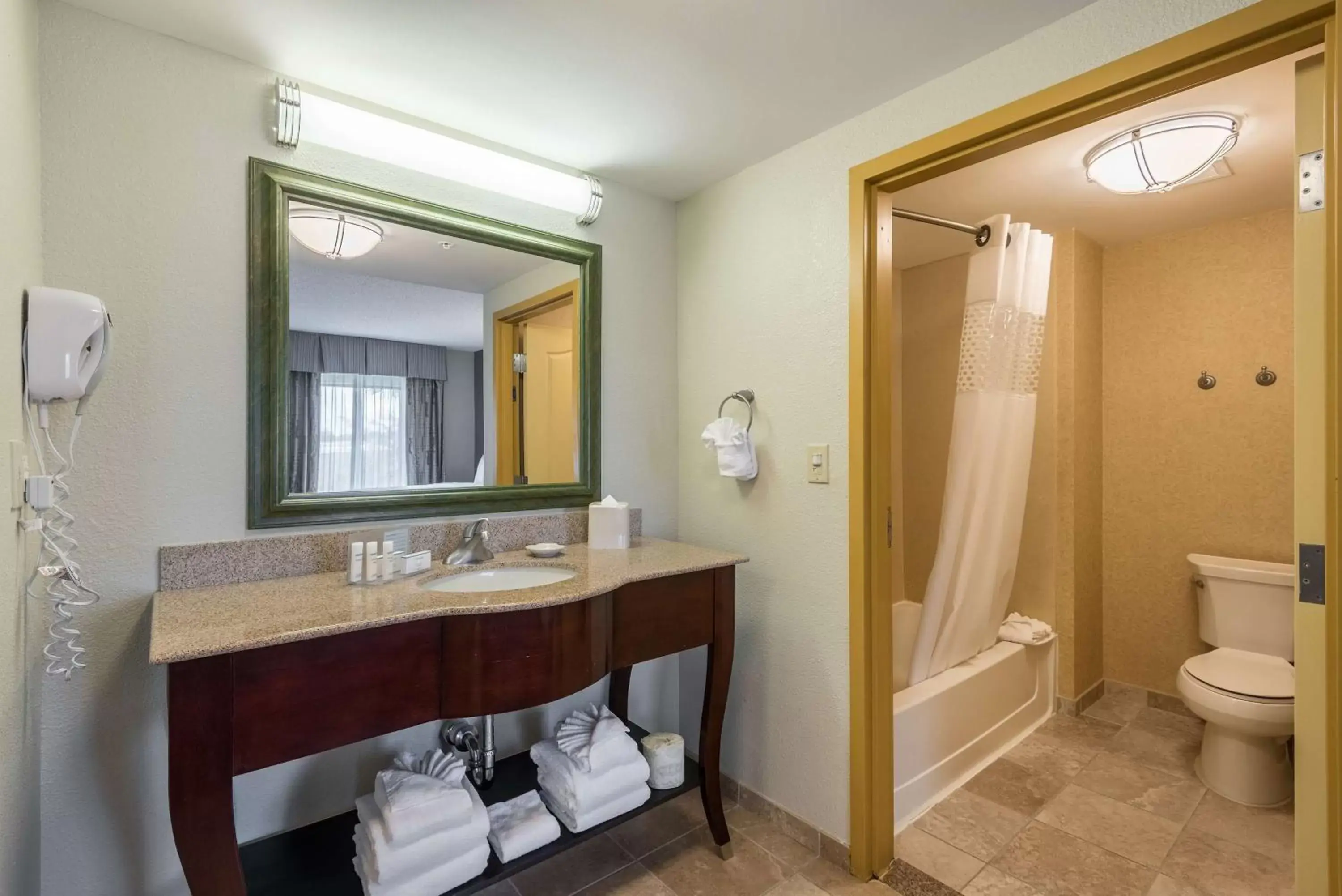 Bathroom in Hampton Inn & Suites Orlando-South Lake Buena Vista