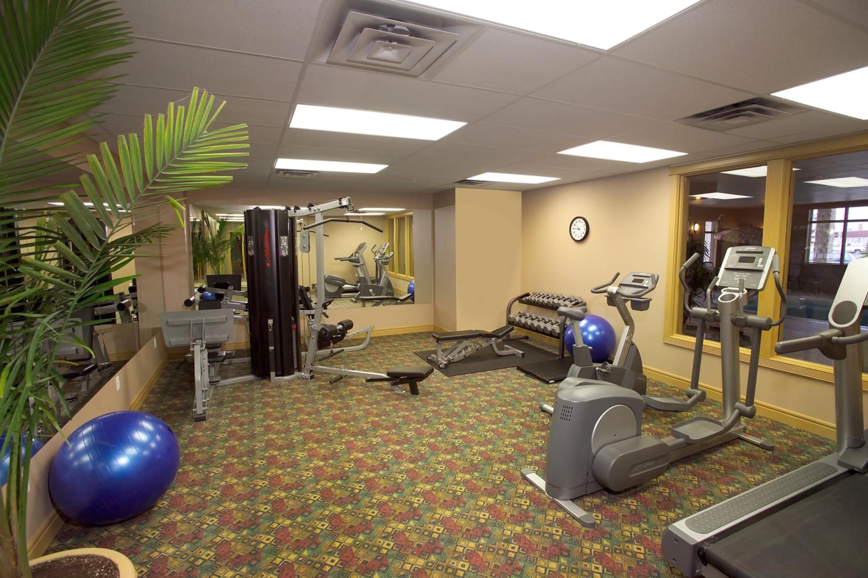 Fitness centre/facilities in Chateau Nova Kingsway