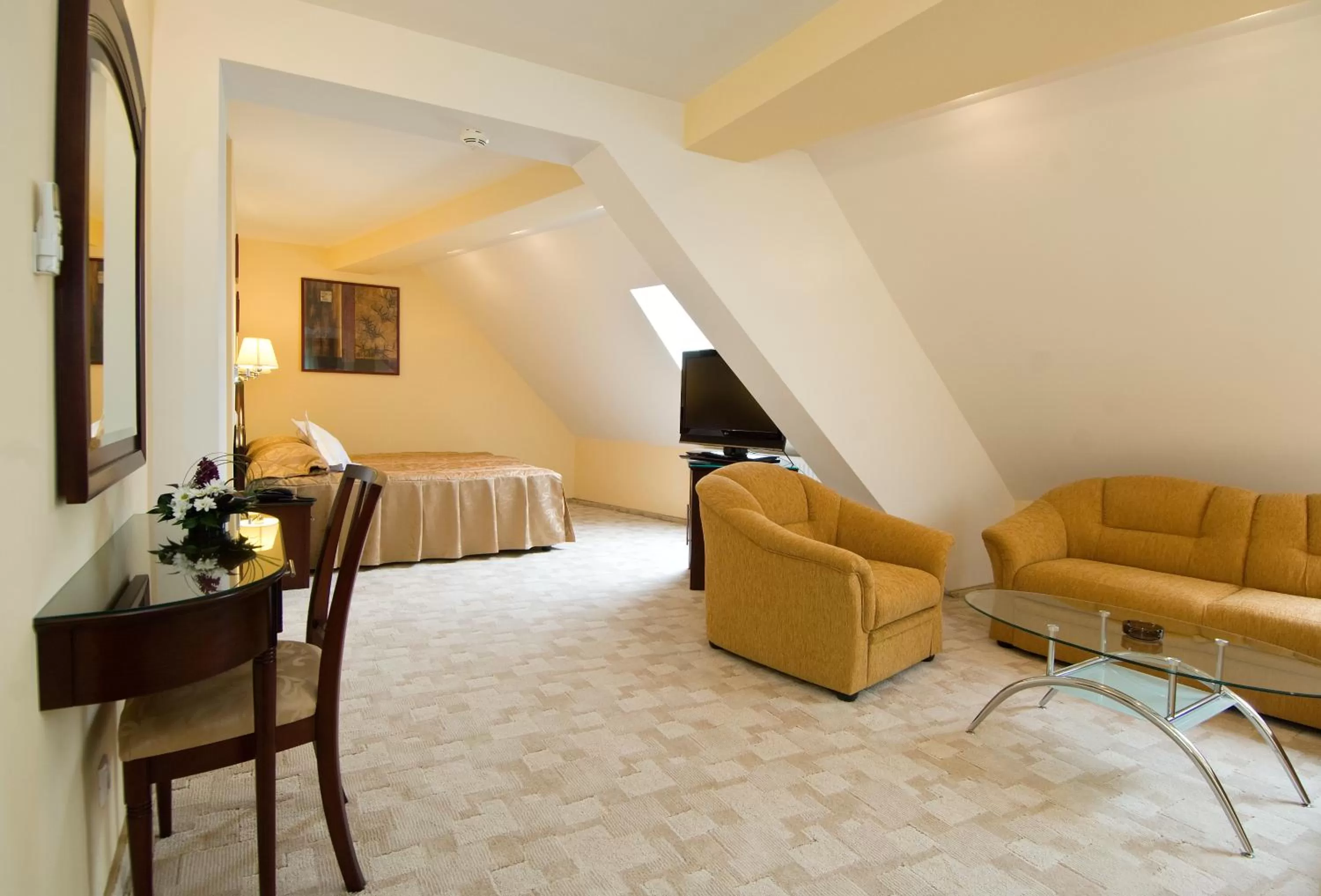 Photo of the whole room in Hotel Ambient