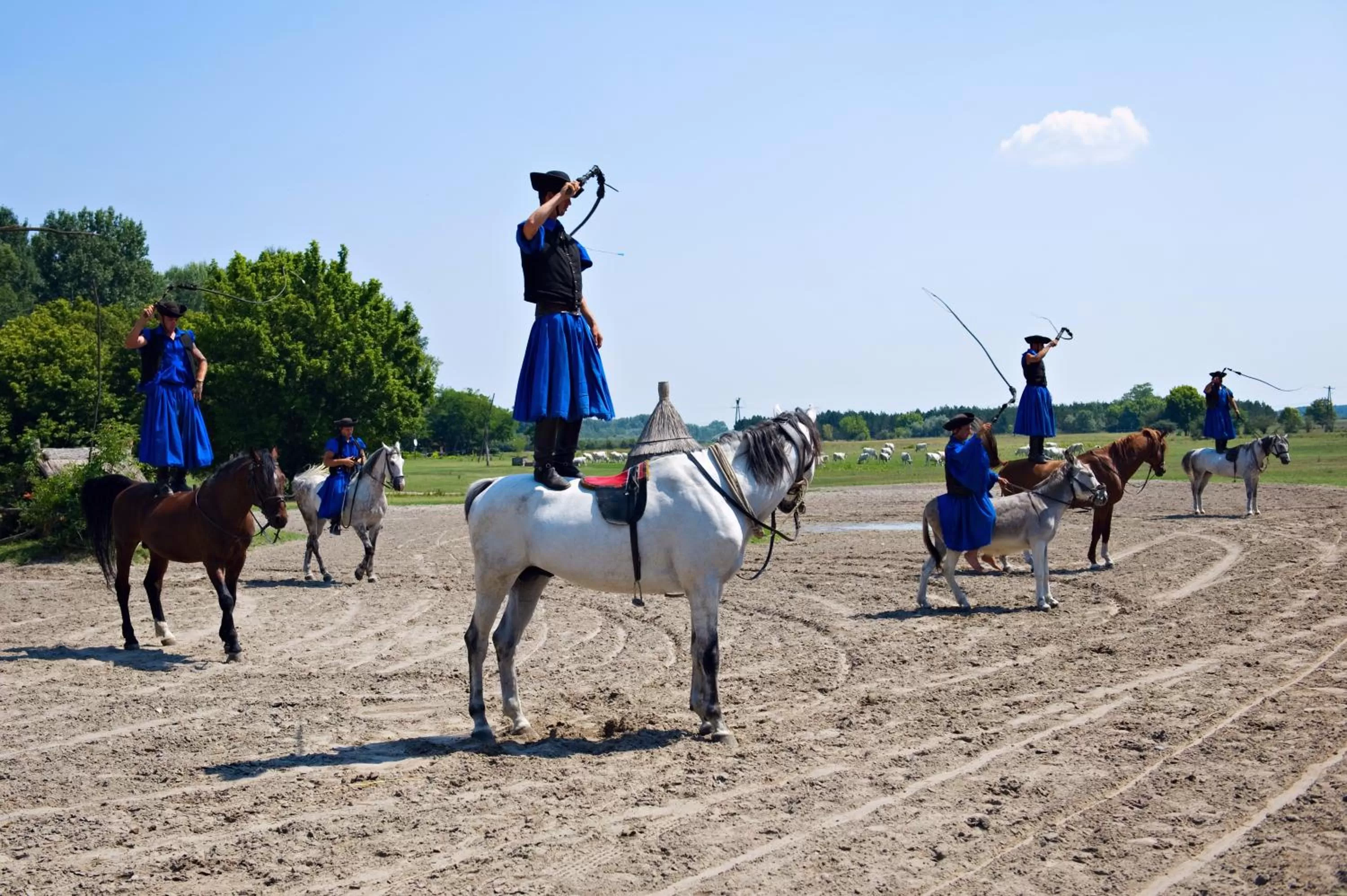 Day in Varga Tanya Hotel