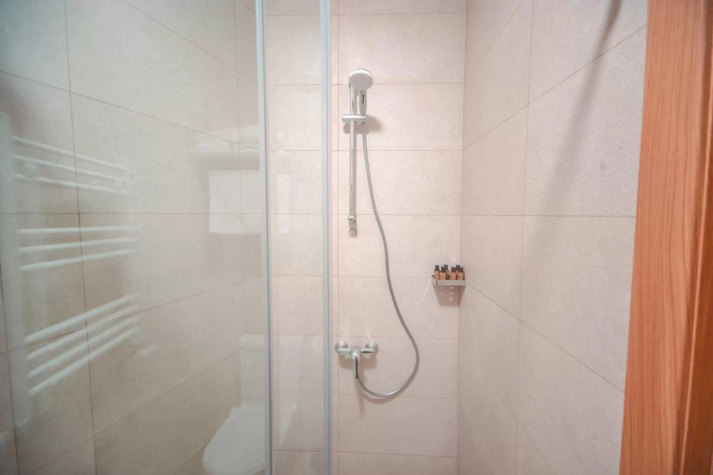 Shower, Bathroom in Hotel Banovani