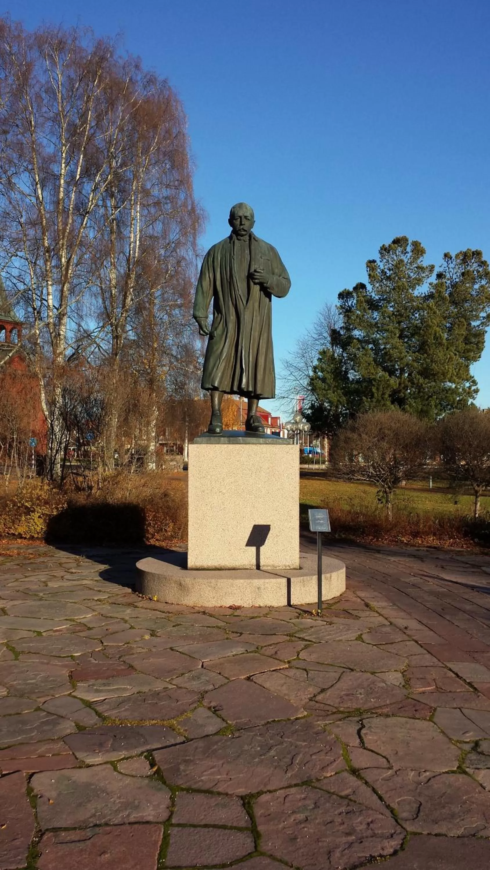 Area and facilities in Hotel Bishops Arms Mora