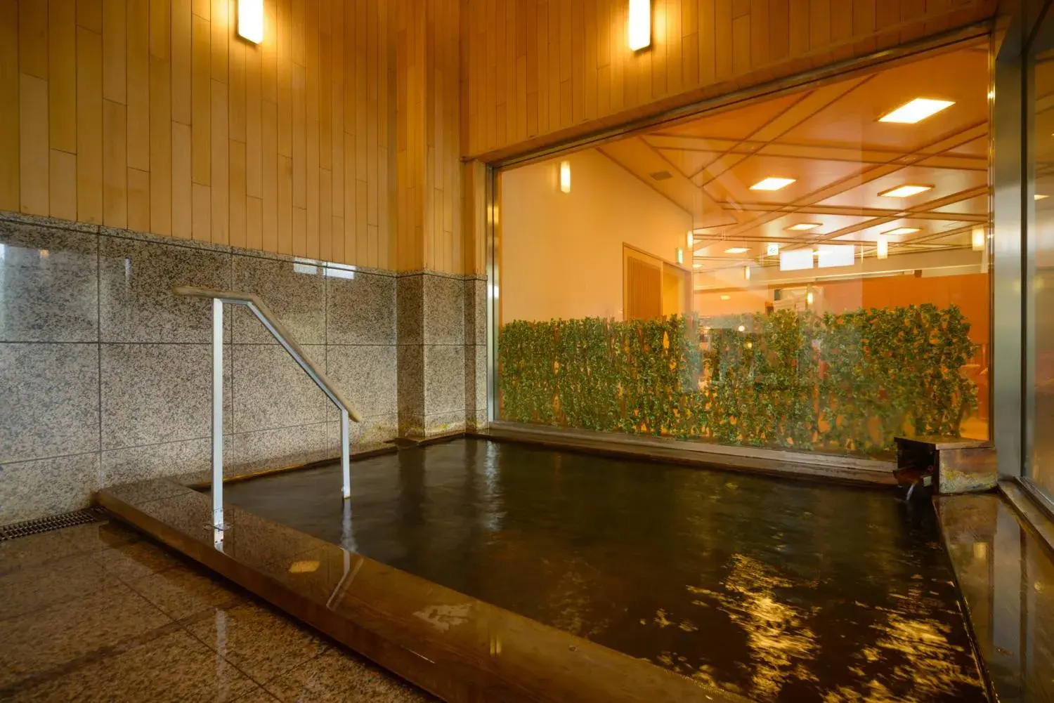 Hot Spring Bath, Swimming Pool in Azumaen