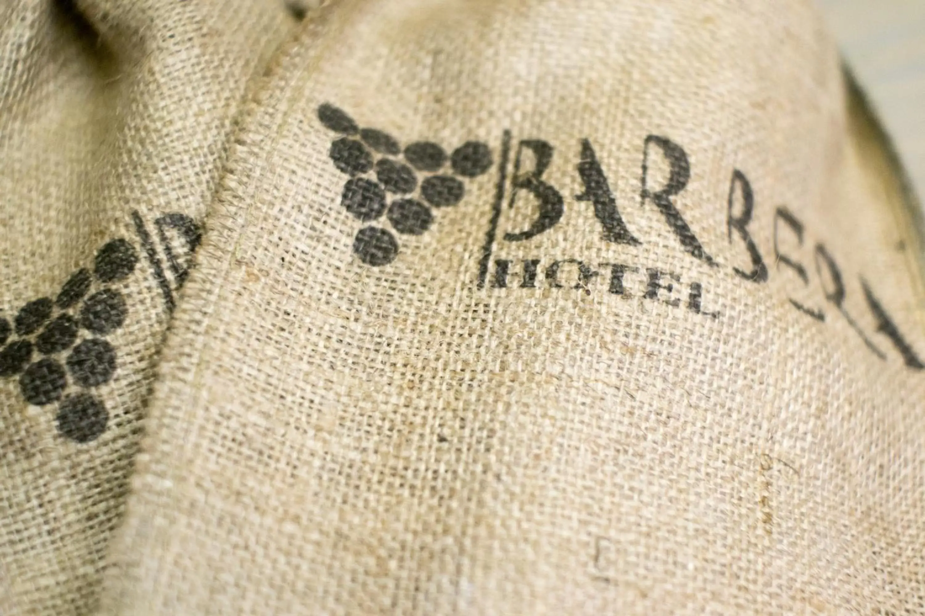Property logo or sign in Barbera Hotel