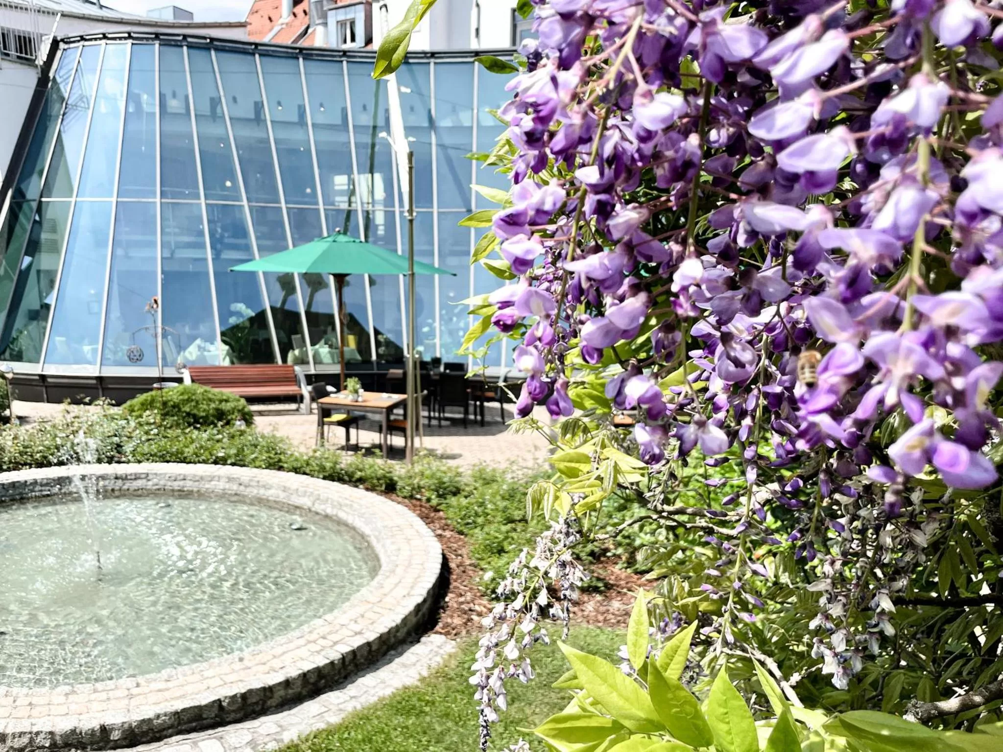 Restaurant/places to eat in Hotel-Restaurant Anne-Sophie