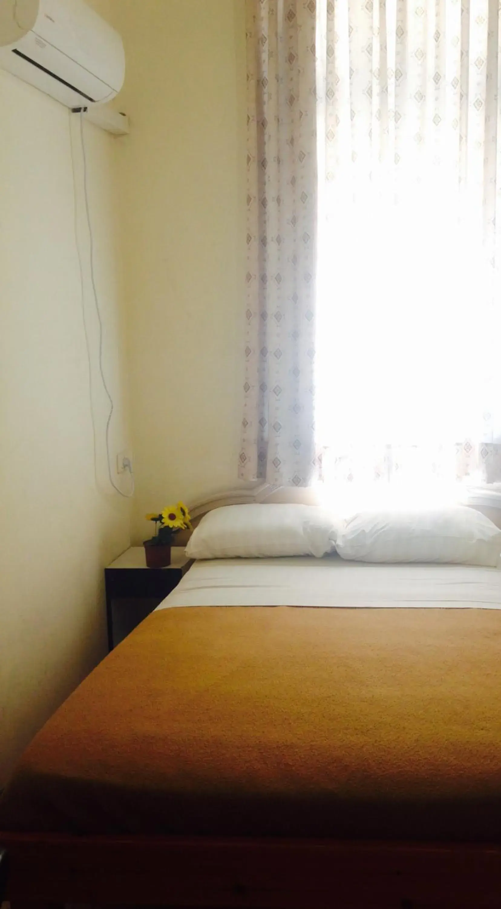 Room Photo in Momos Hostel
