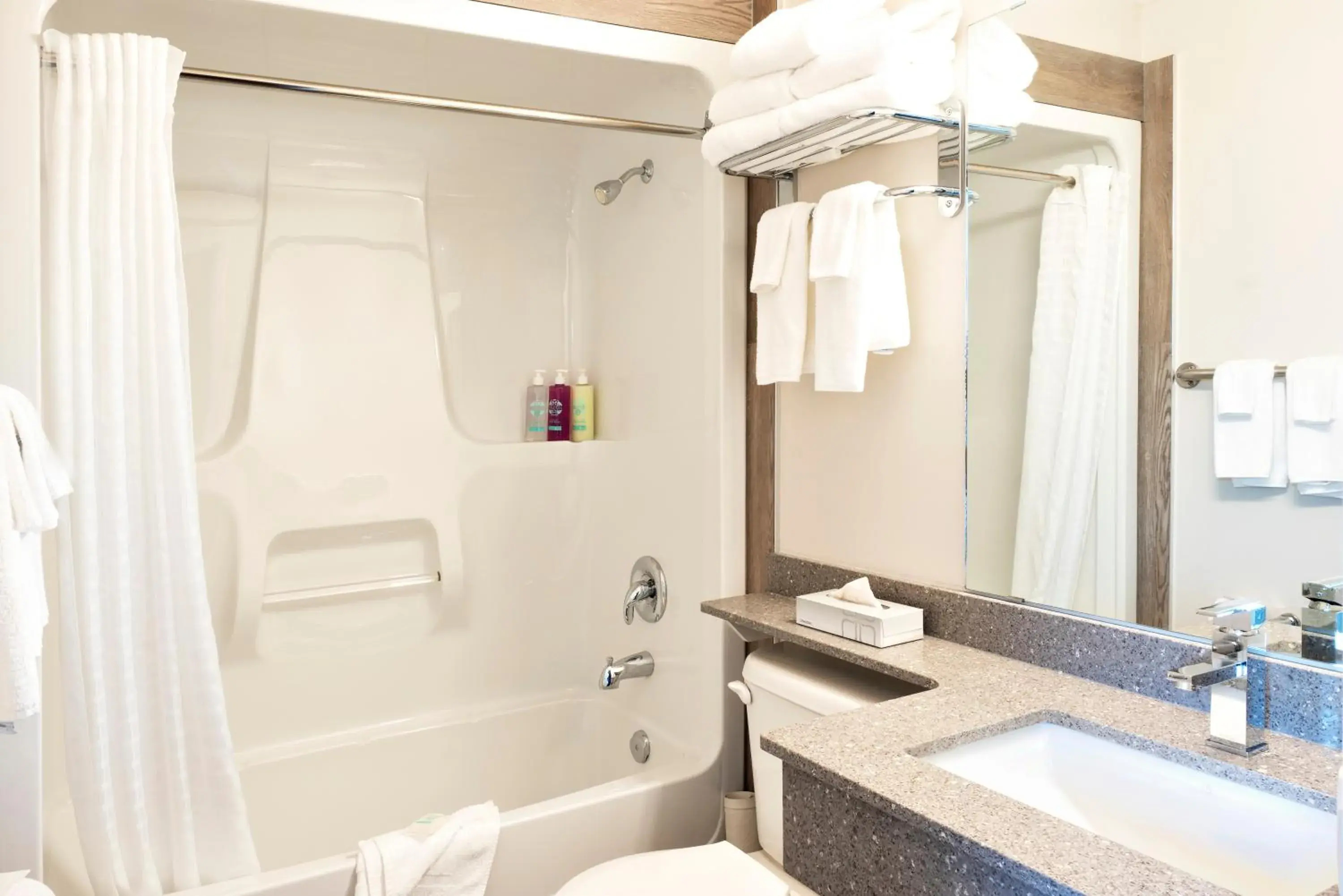 Shower, Bathroom in Coast Osoyoos Beach Hotel