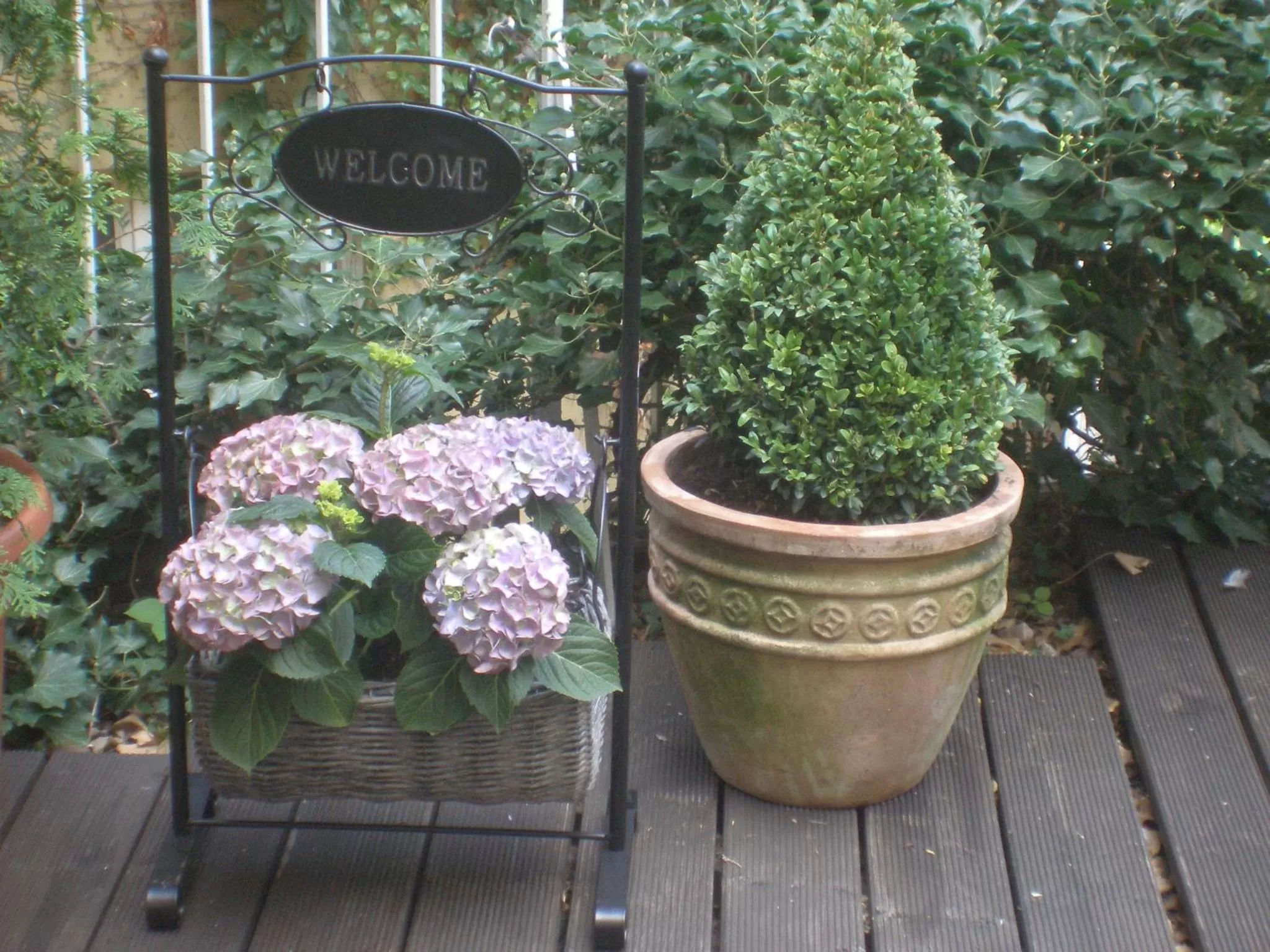 Balcony/Terrace in Comfort Garni Stadtzentrum Hotel