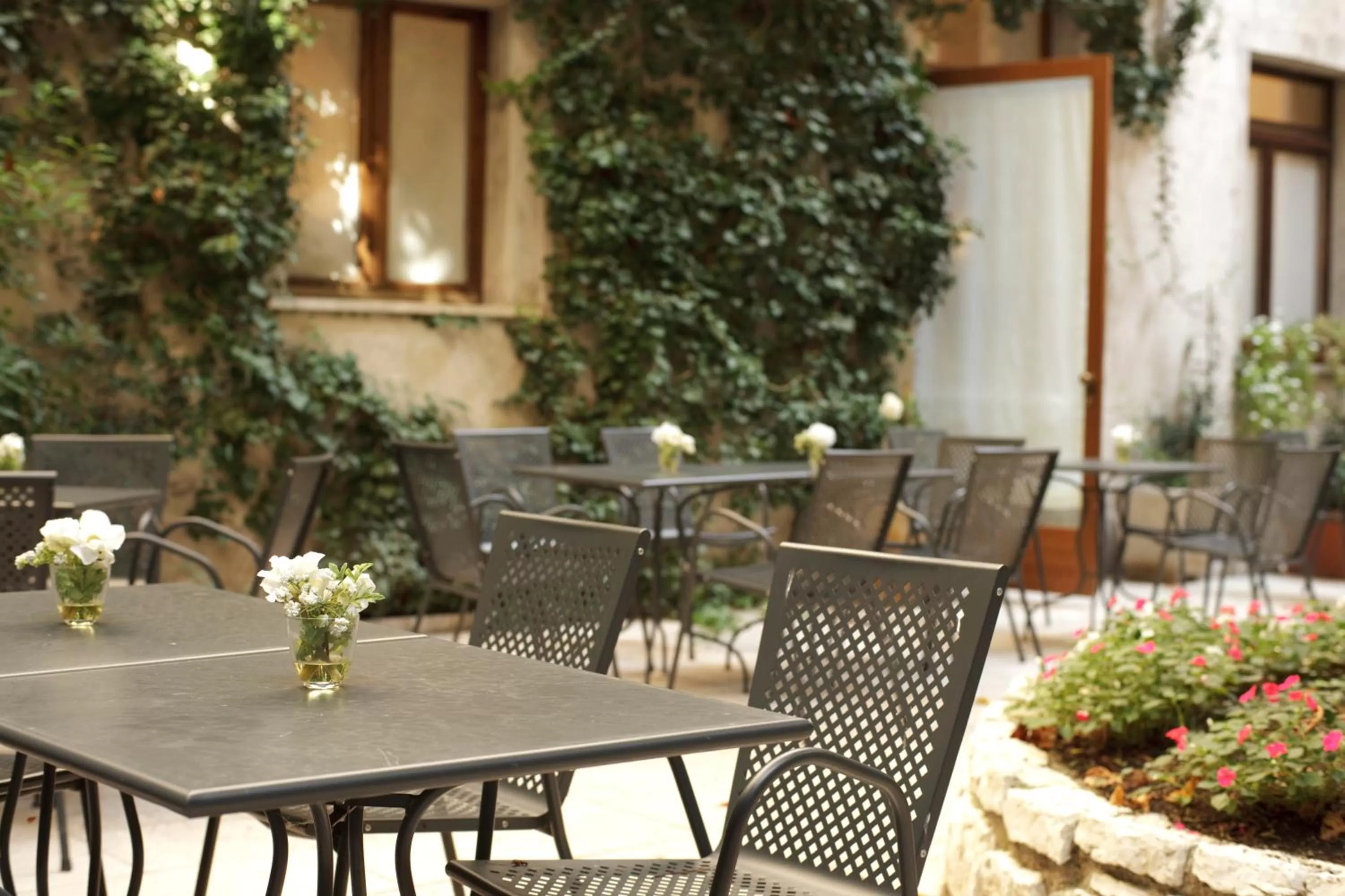 Garden in Albergo Accademia