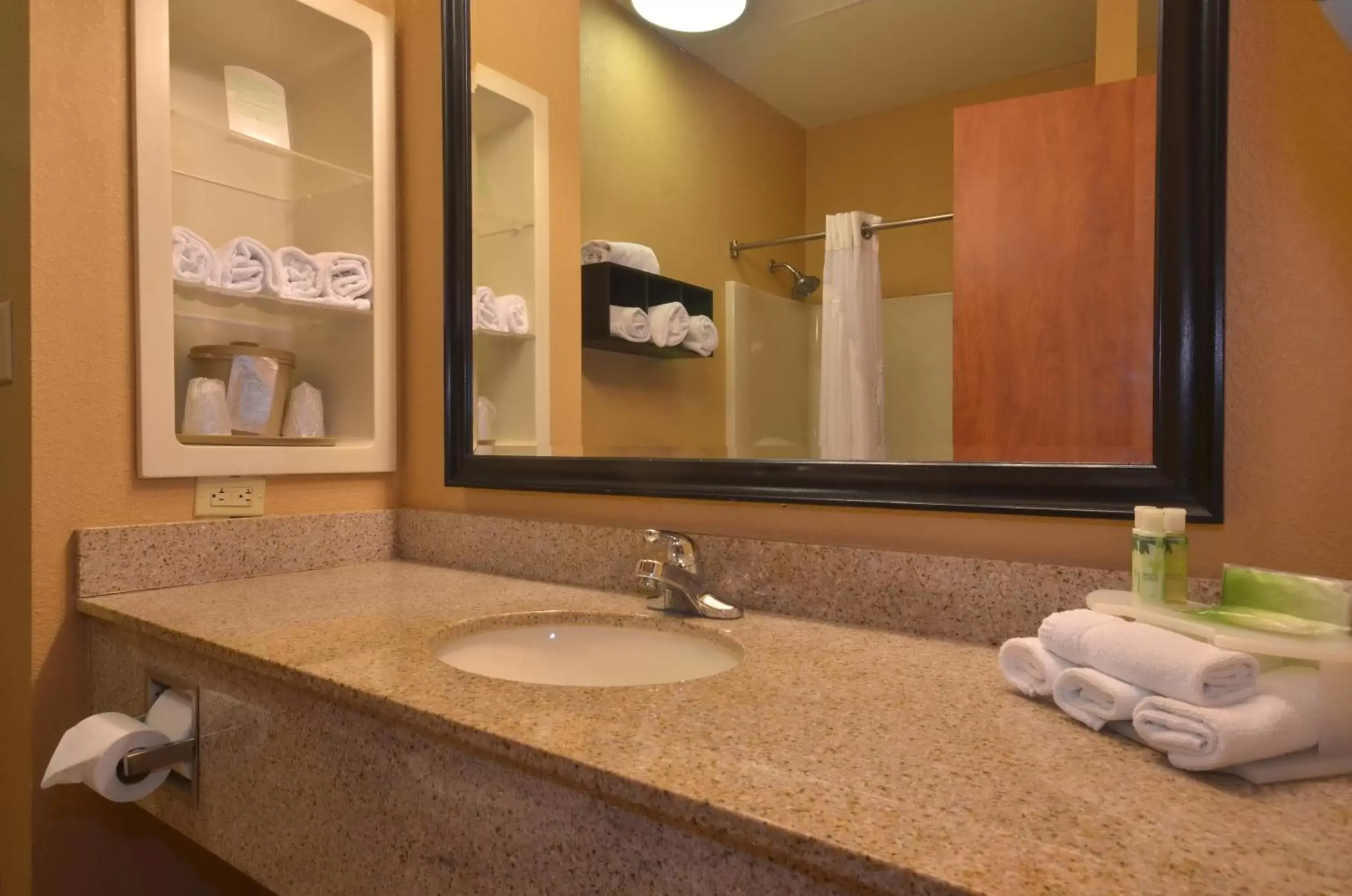 Photo of the whole room, Bathroom in Holiday Inn Express & Suites Pine Bluff/Pines Mall, an IHG Hotel