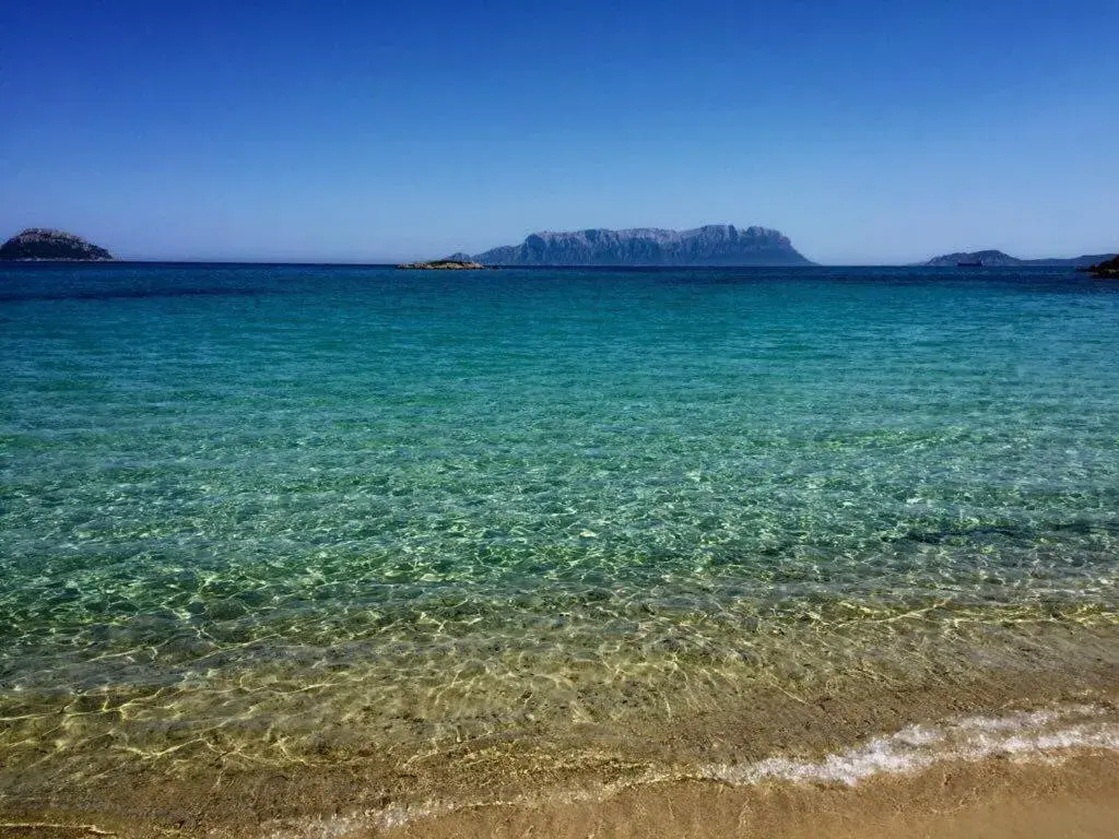 Beach in Hotel Stefania Boutique Hotel by the Beach