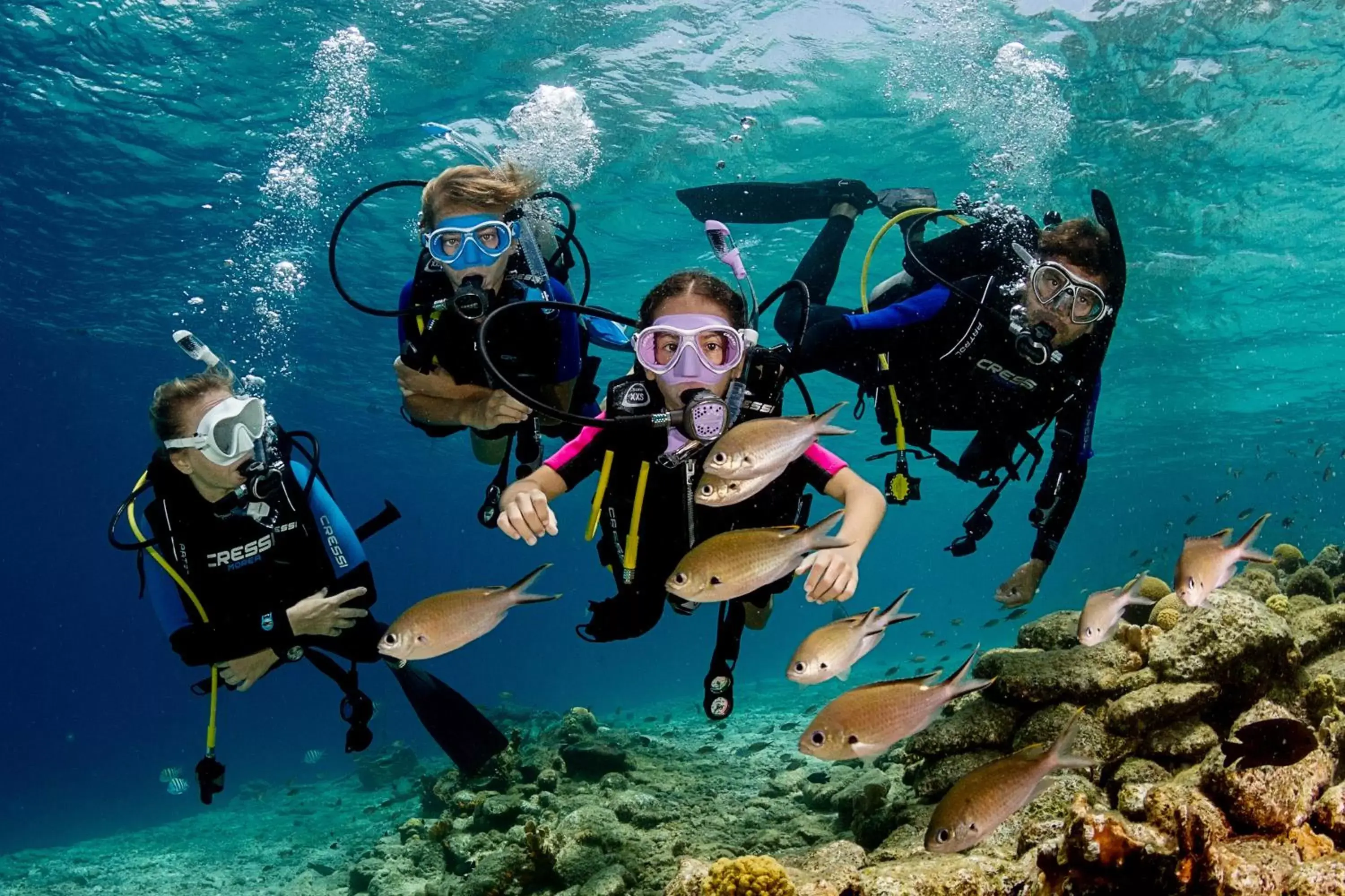 Kids's club, Snorkeling/Diving in Harbour Village Beach Club