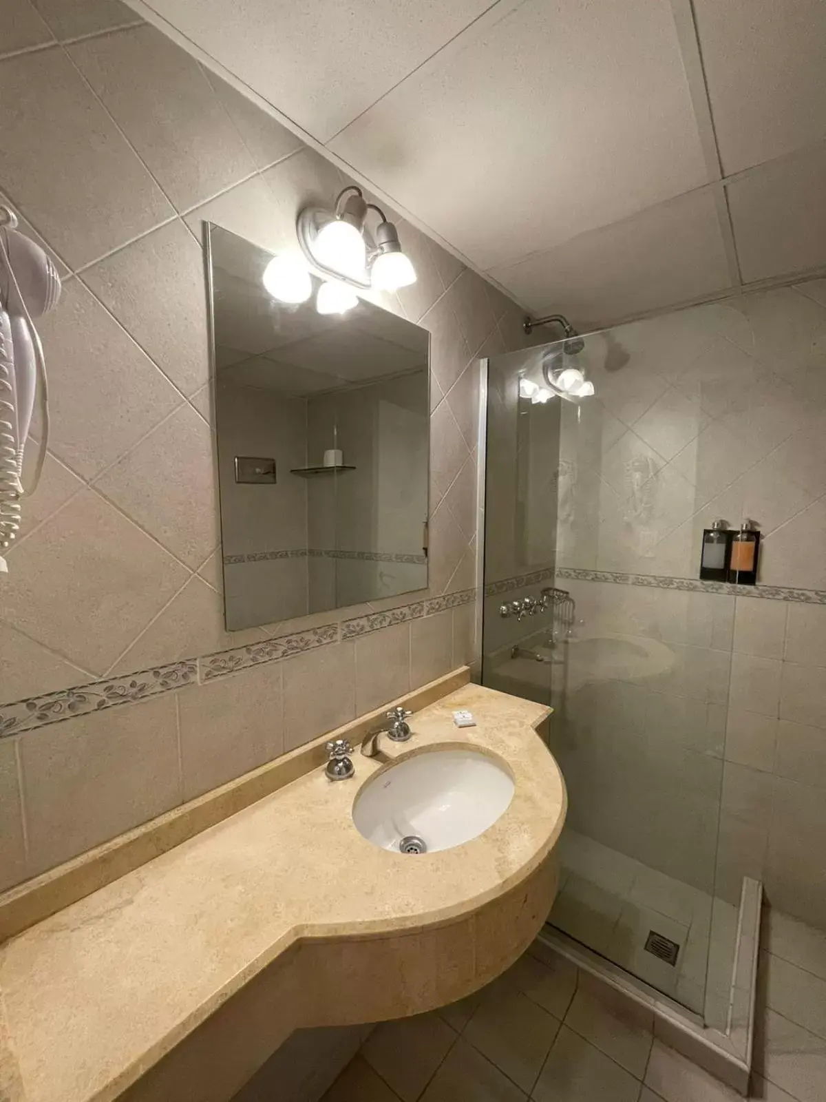 Shower, Bathroom in Hotel Mendoza