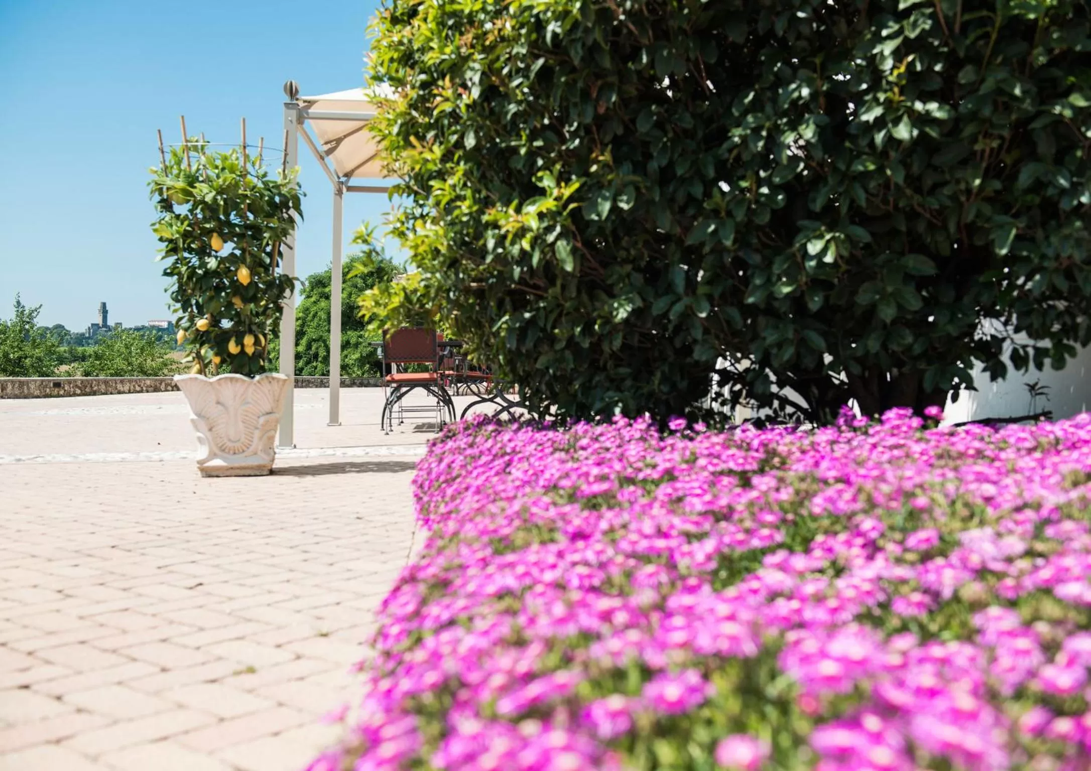 Garden view in Phi Hotel Astoria