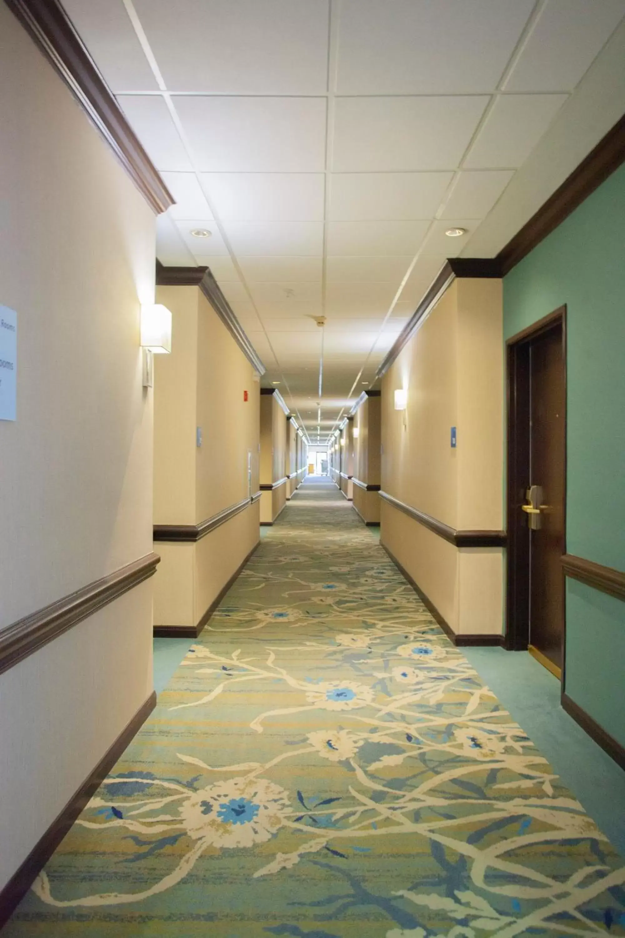Area and facilities in Holiday Inn & Suites Spring - The Woodlands