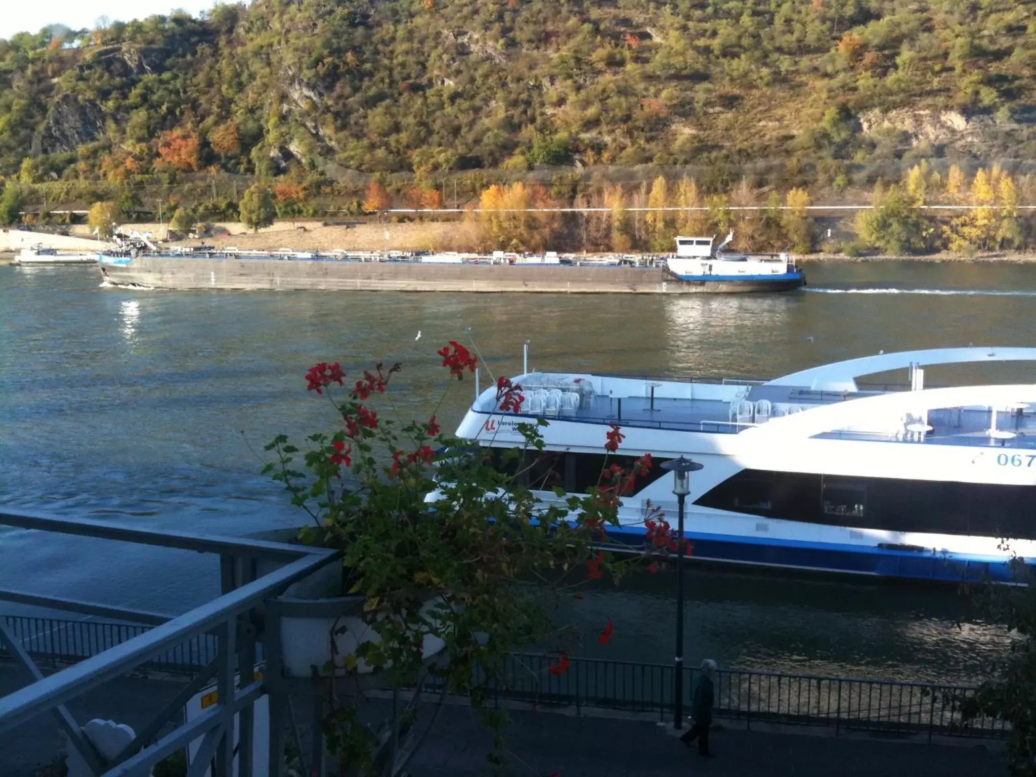 View (from property/room), River View in Hotel Rheinlust