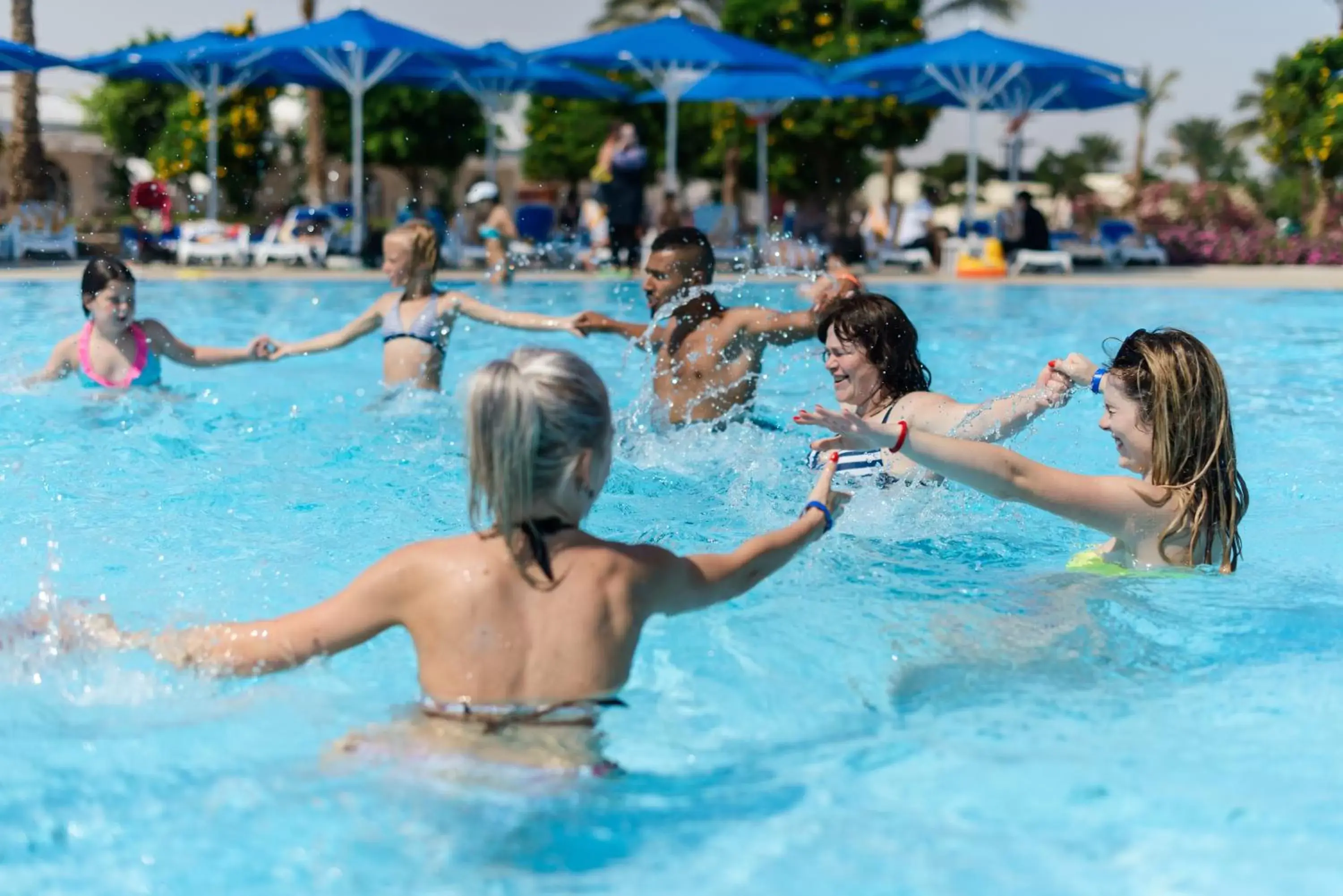 Activities, Swimming Pool in Desert Rose Resort