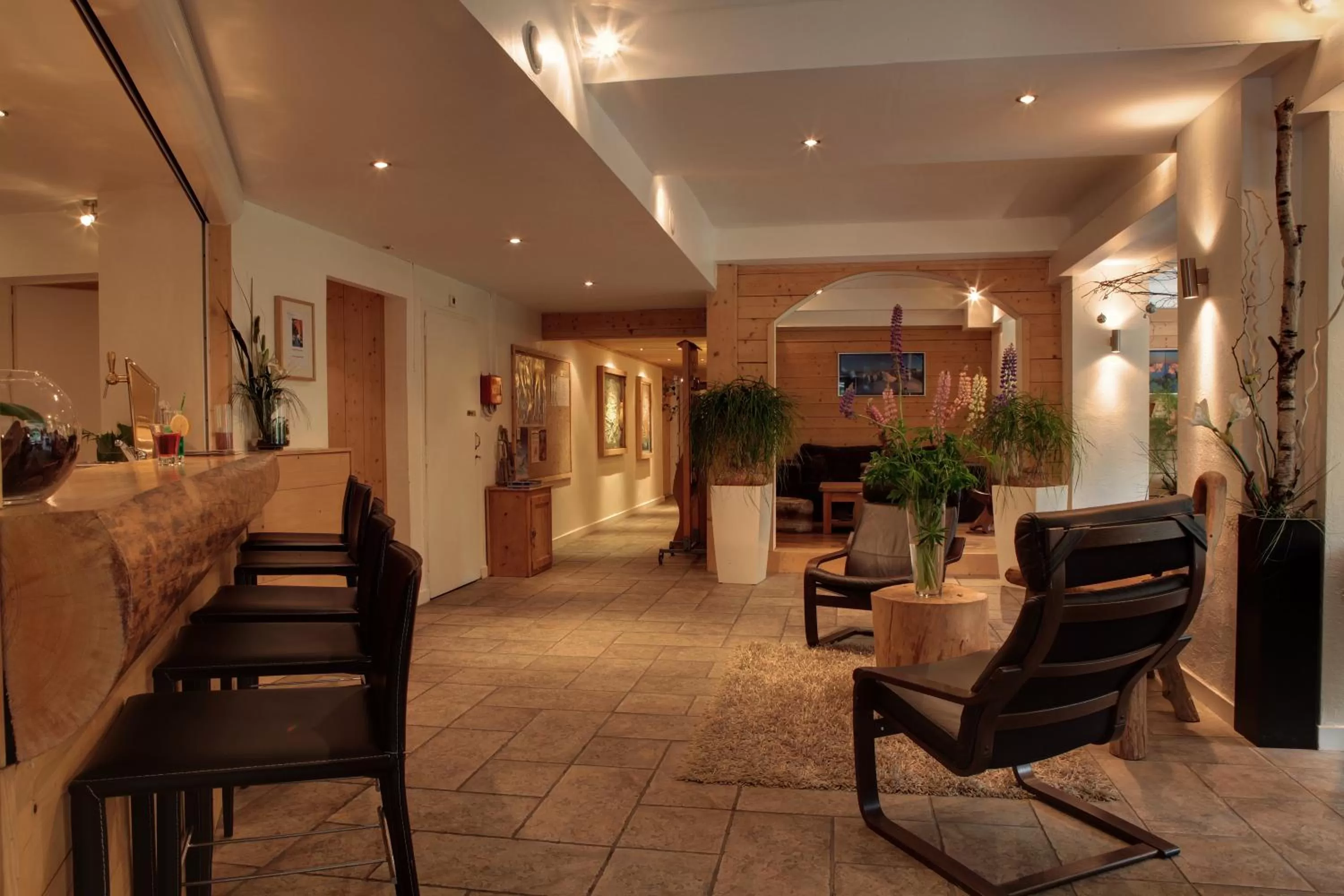 Lounge or bar in Les Campanules