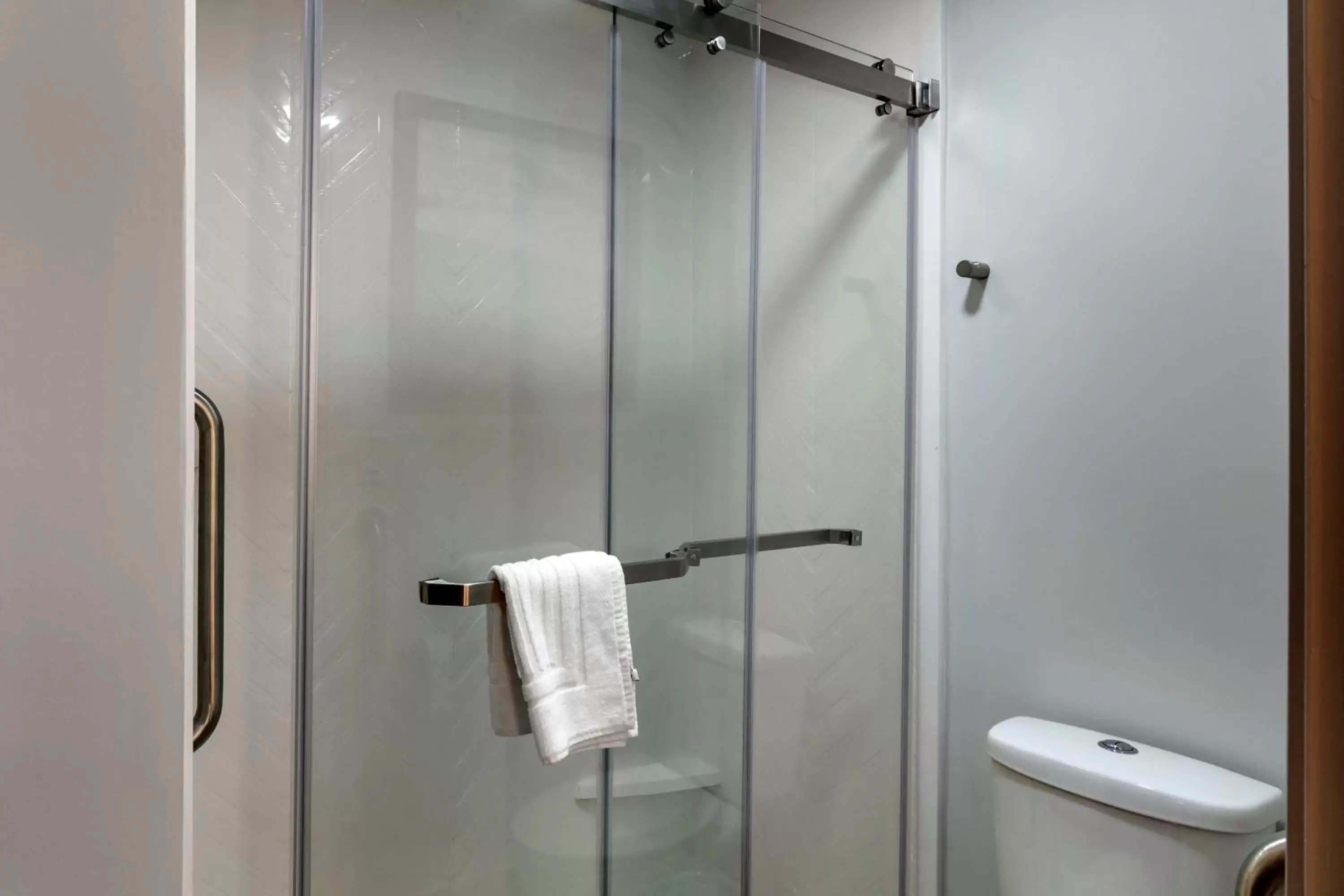 Shower, Bathroom in Best Western Executive Inn Kenosha - Pleasant Prairie