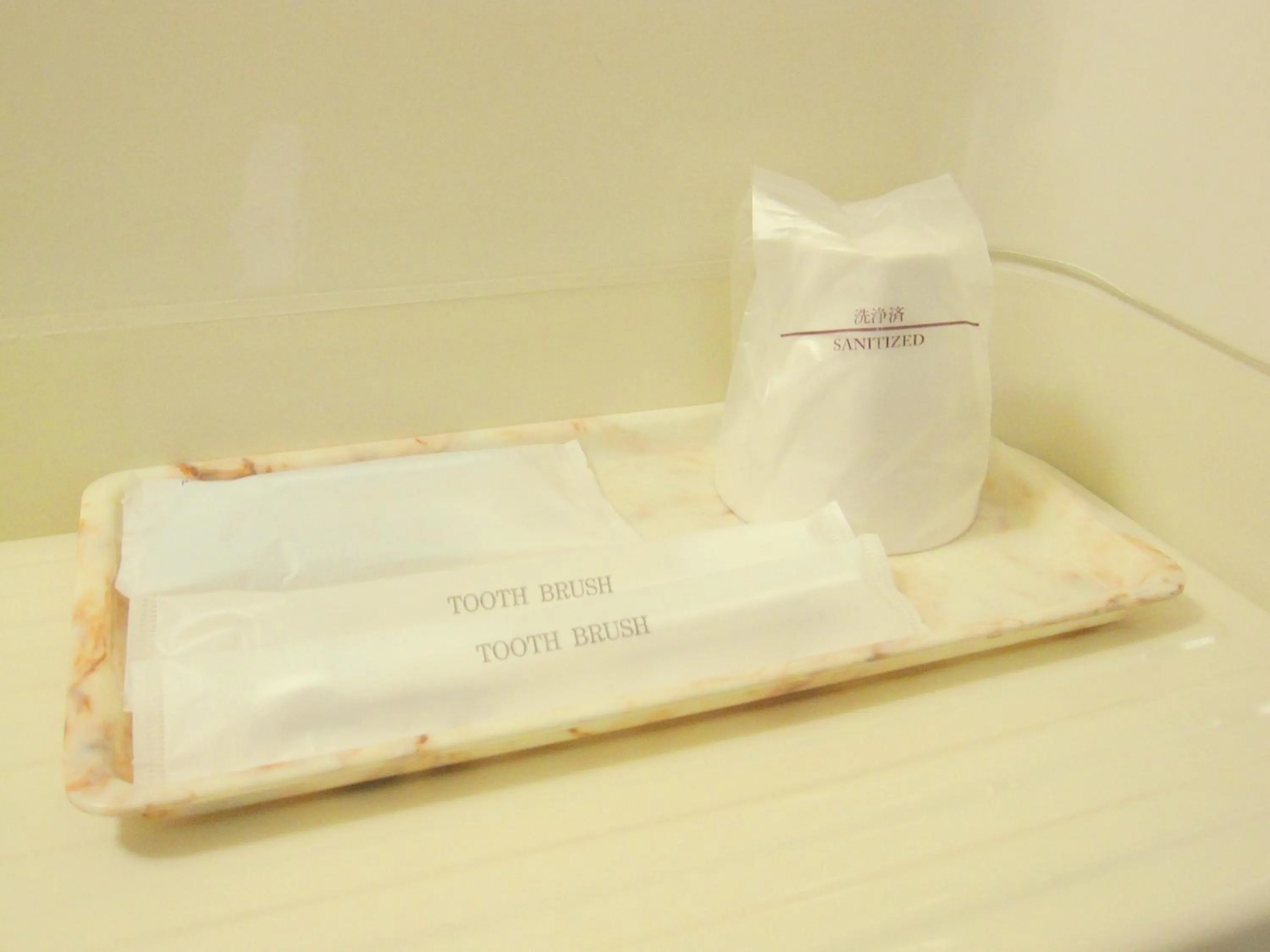 Bathroom in Toyohashi Station Hotel