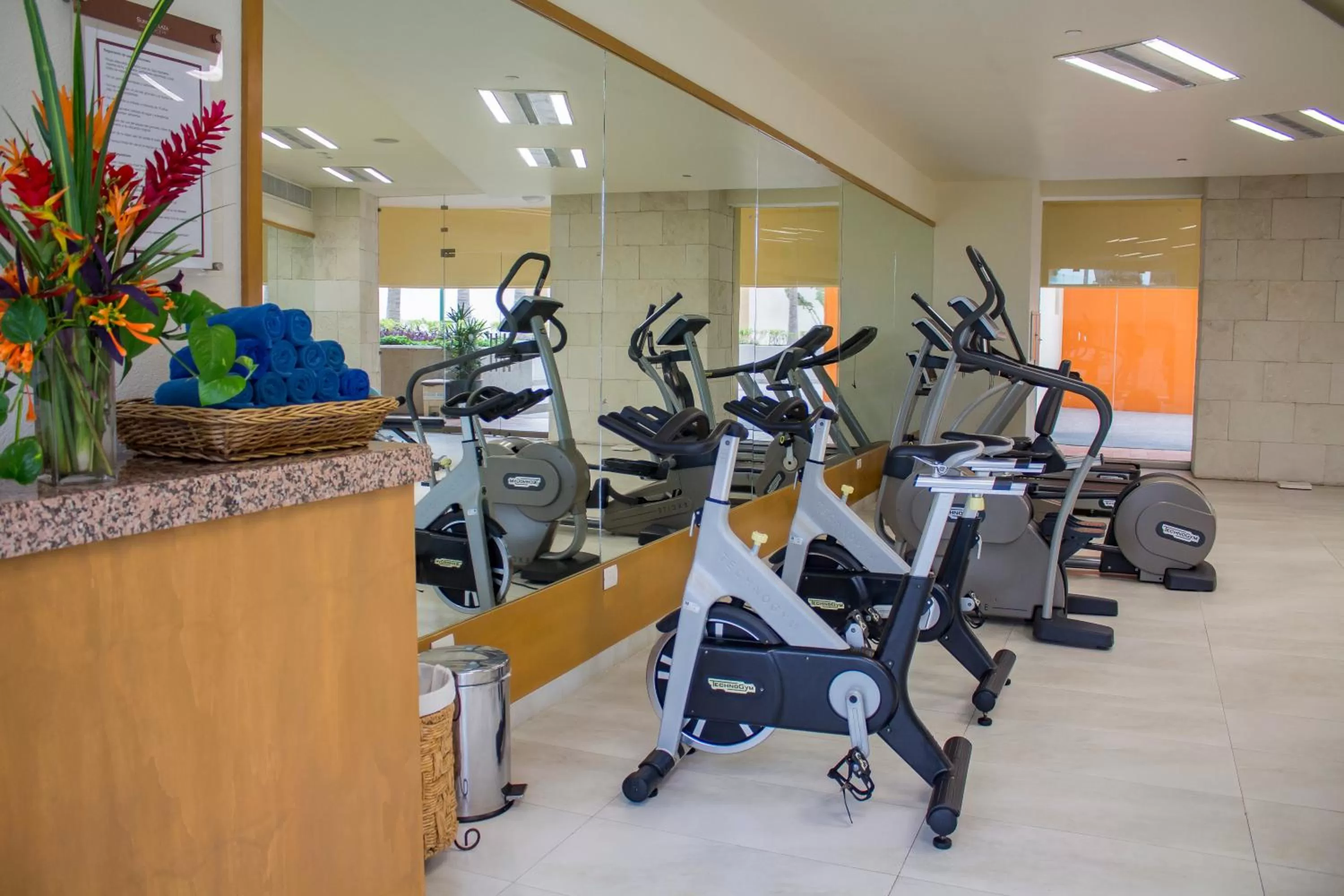 Fitness centre/facilities in Sunset Plaza Beach Resort Puerto Vallarta All Inclusive