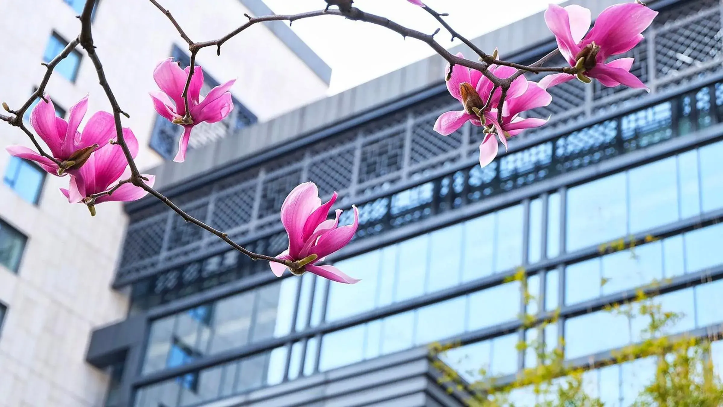 Property building in Crowne Plaza Huangshan Yucheng, an IHG Hotel