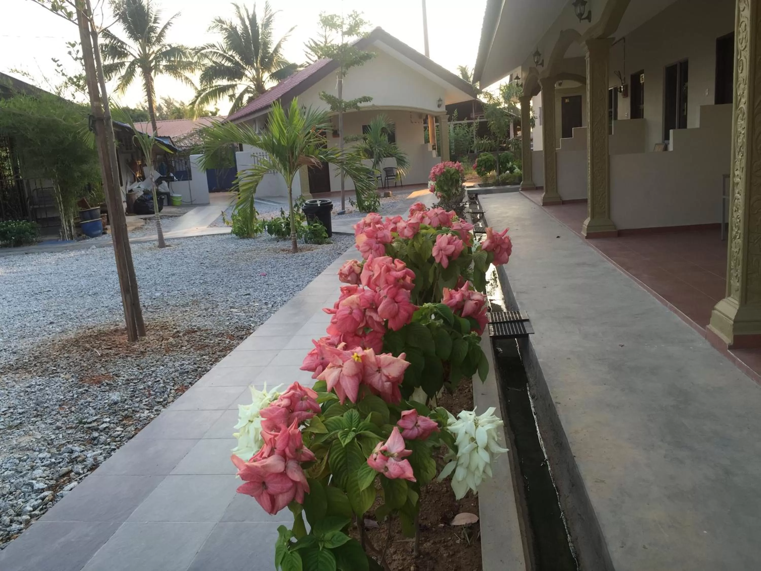 Spring in Dhania Cenang Beach Motel
