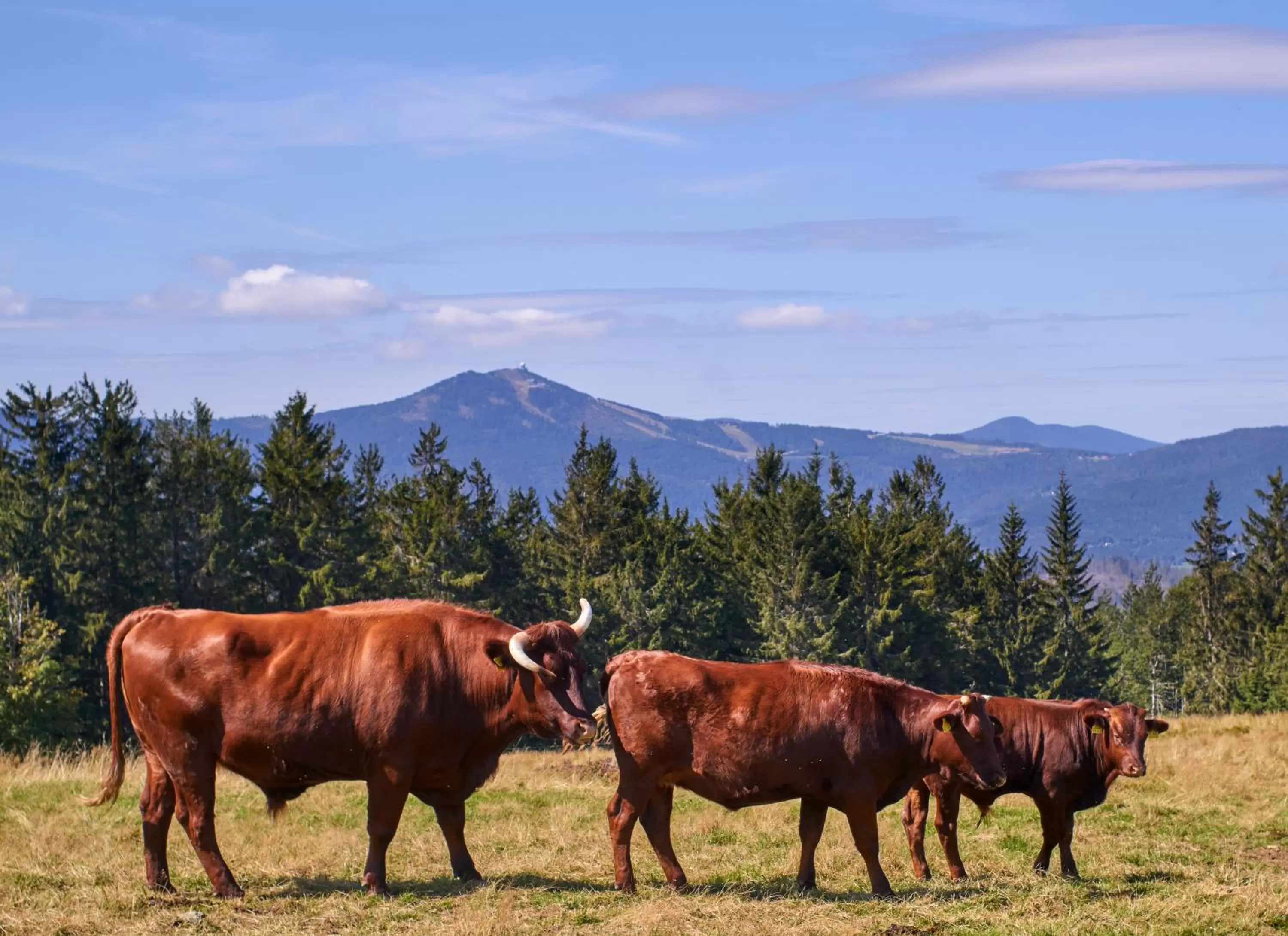 Day in Wander und Aktiv Hotel Rösslwirt