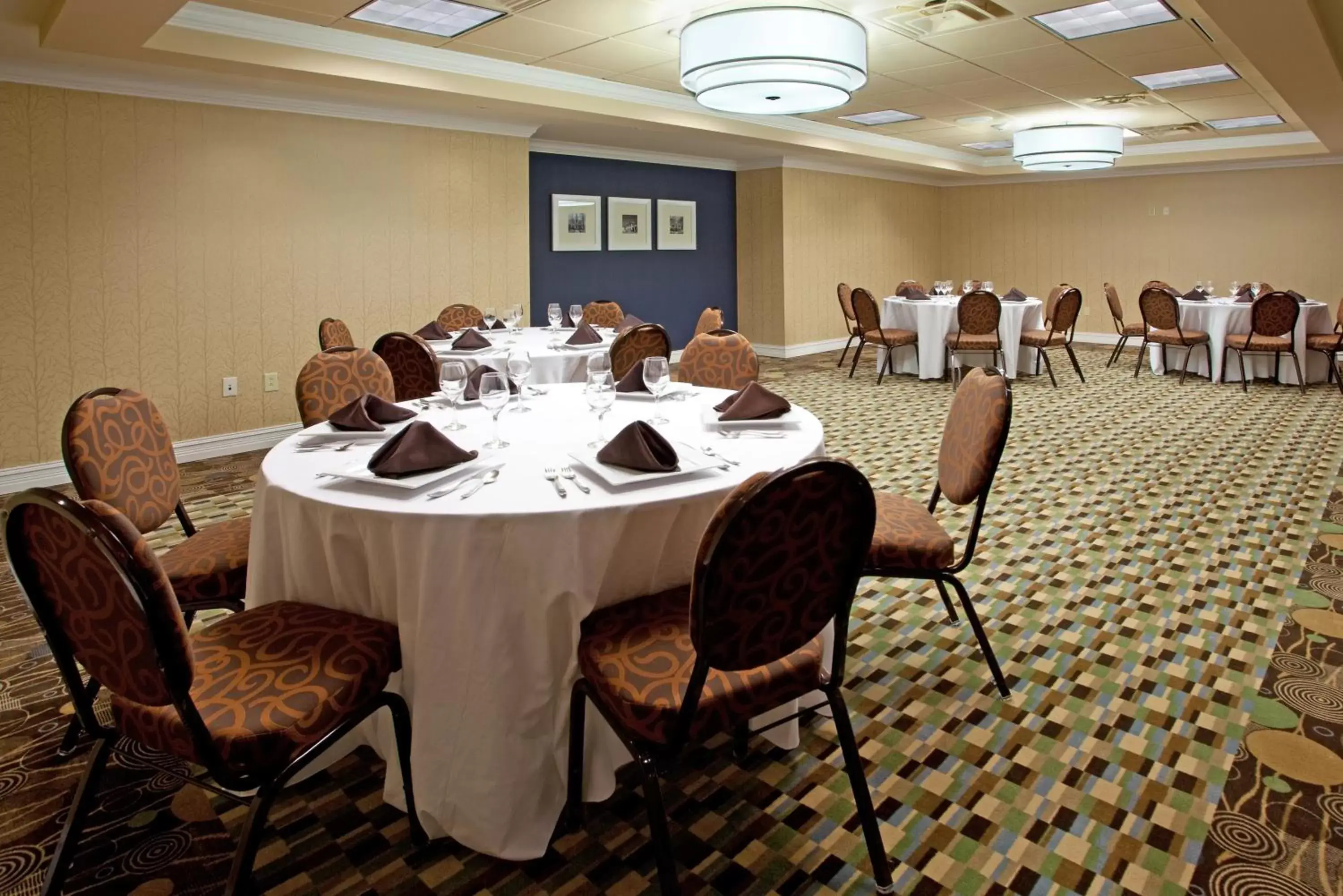 Banquet/Function facilities in Holiday Inn Anderson, an IHG Hotel