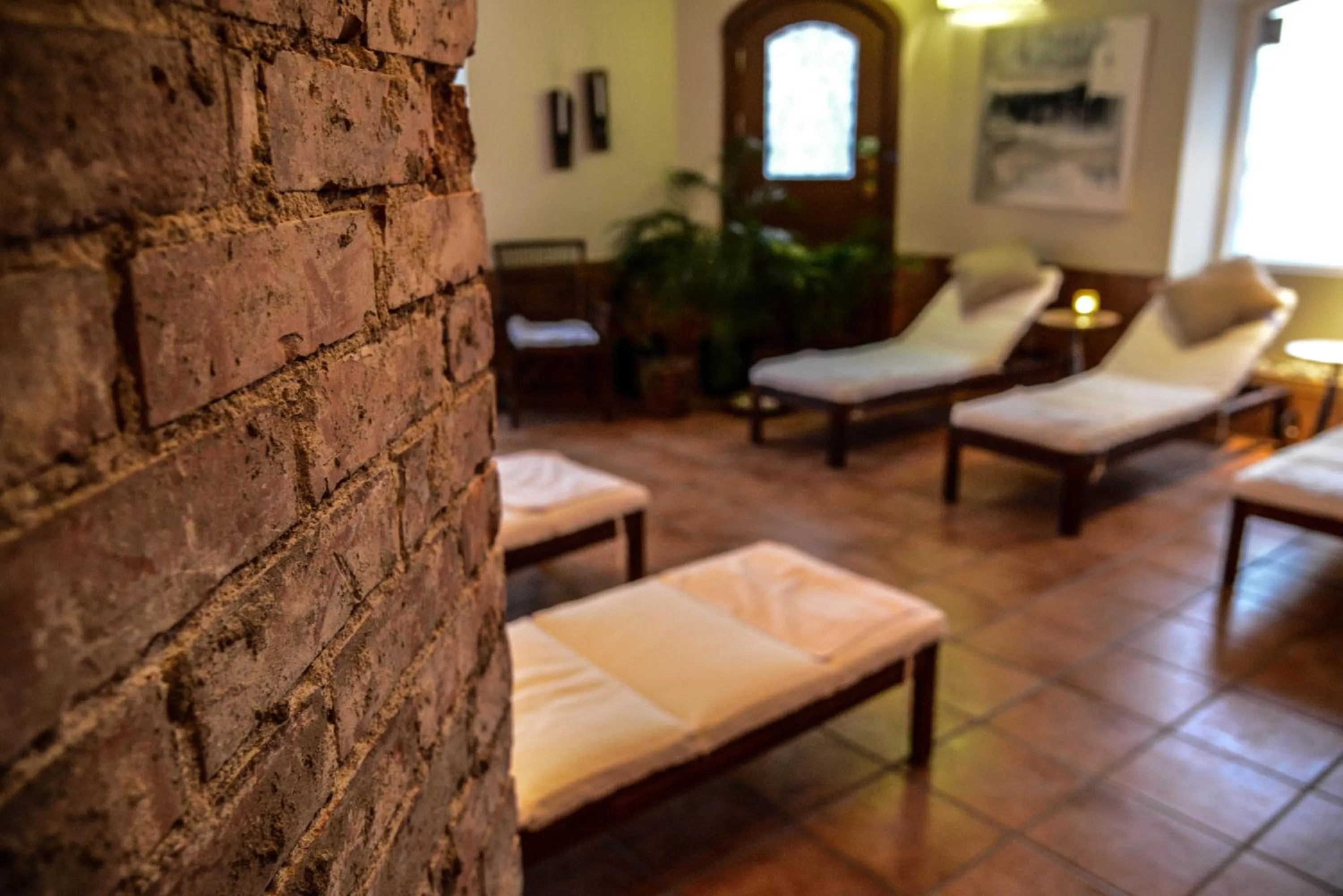 Activities in Hotel Continental Relax & Spa