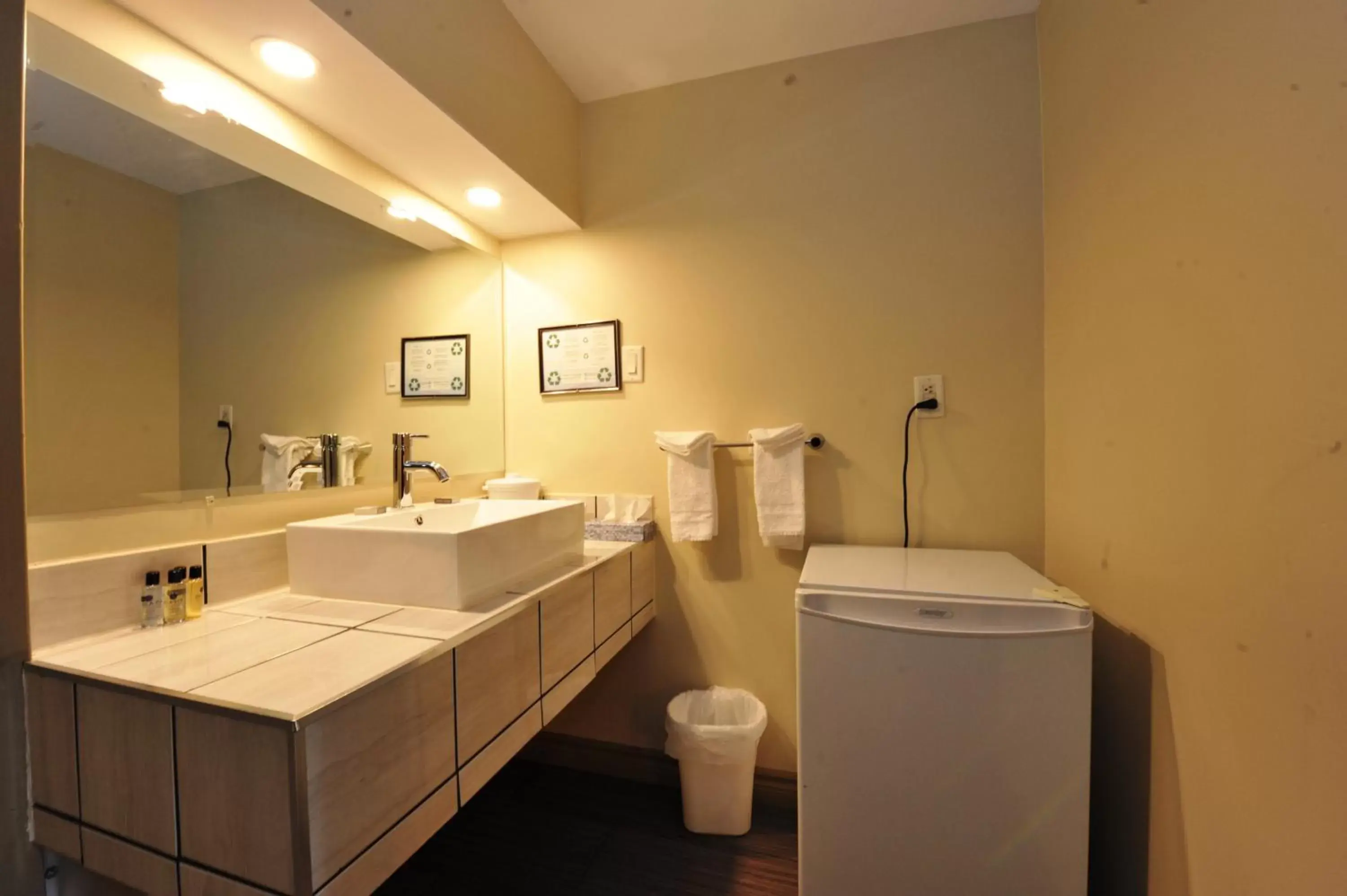 Bathroom in Hotel Le Voyageur