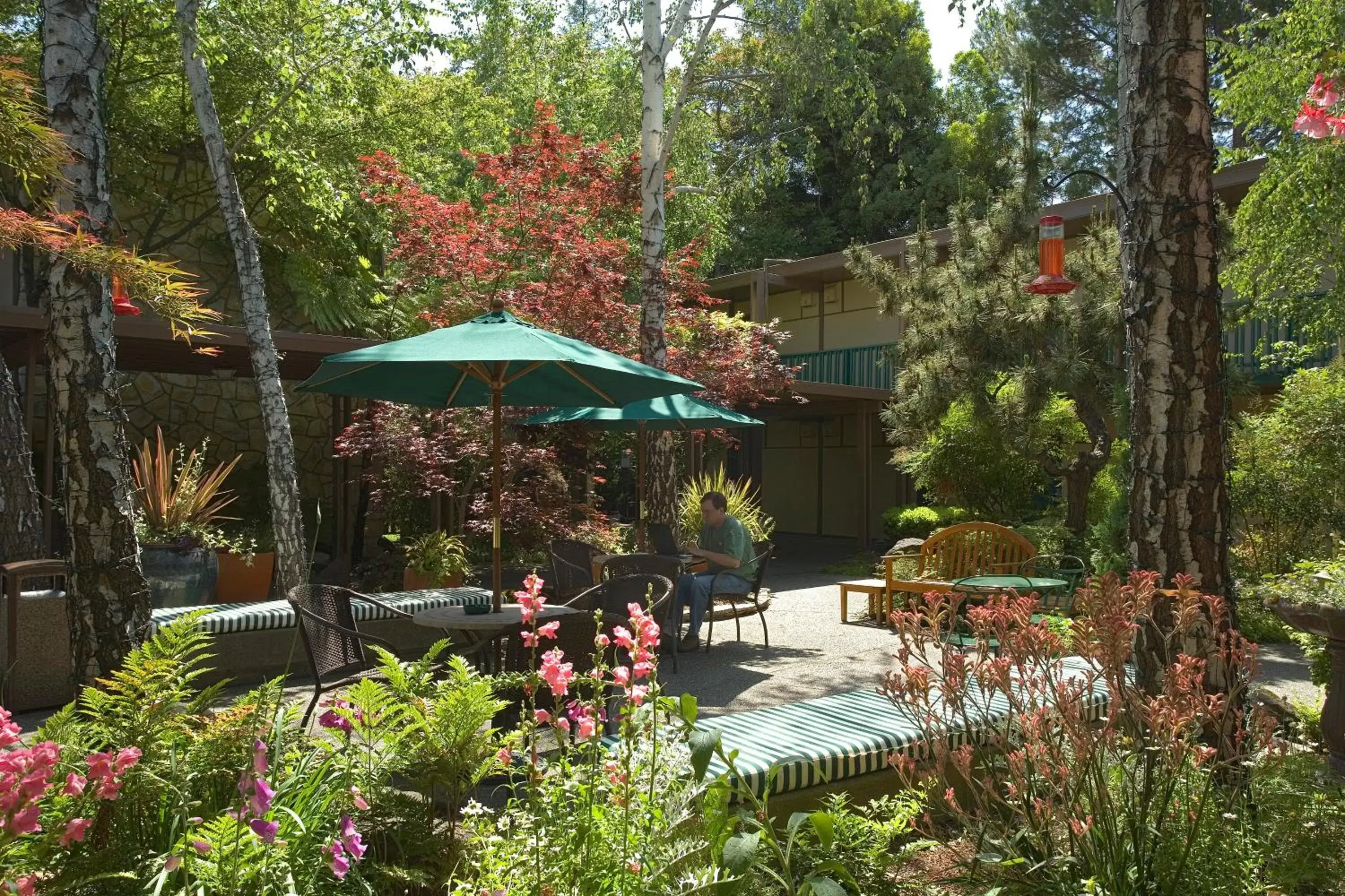 Patio, Swimming Pool in The Creekside Inn