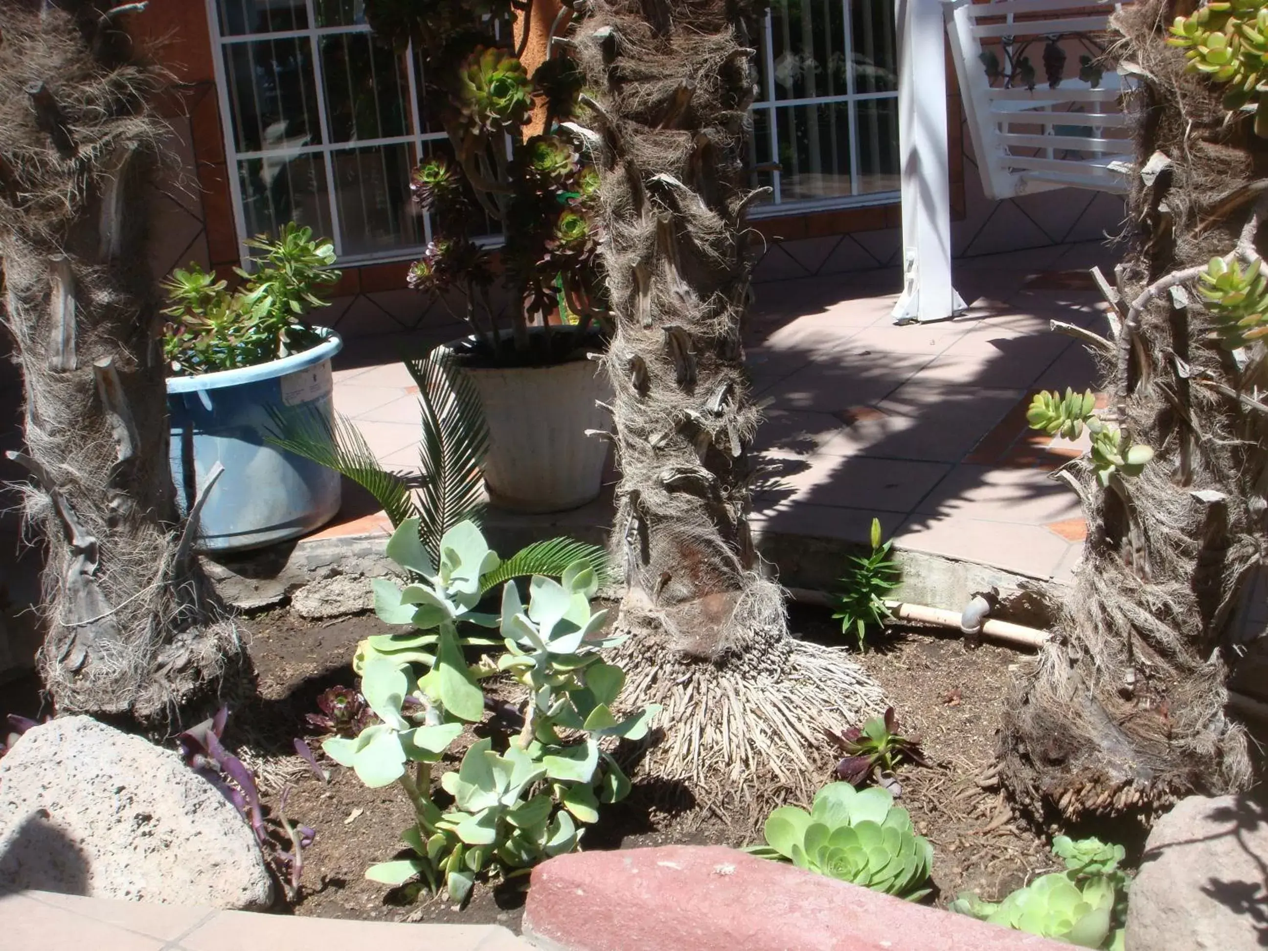 Garden in Economy Inn Los Banos