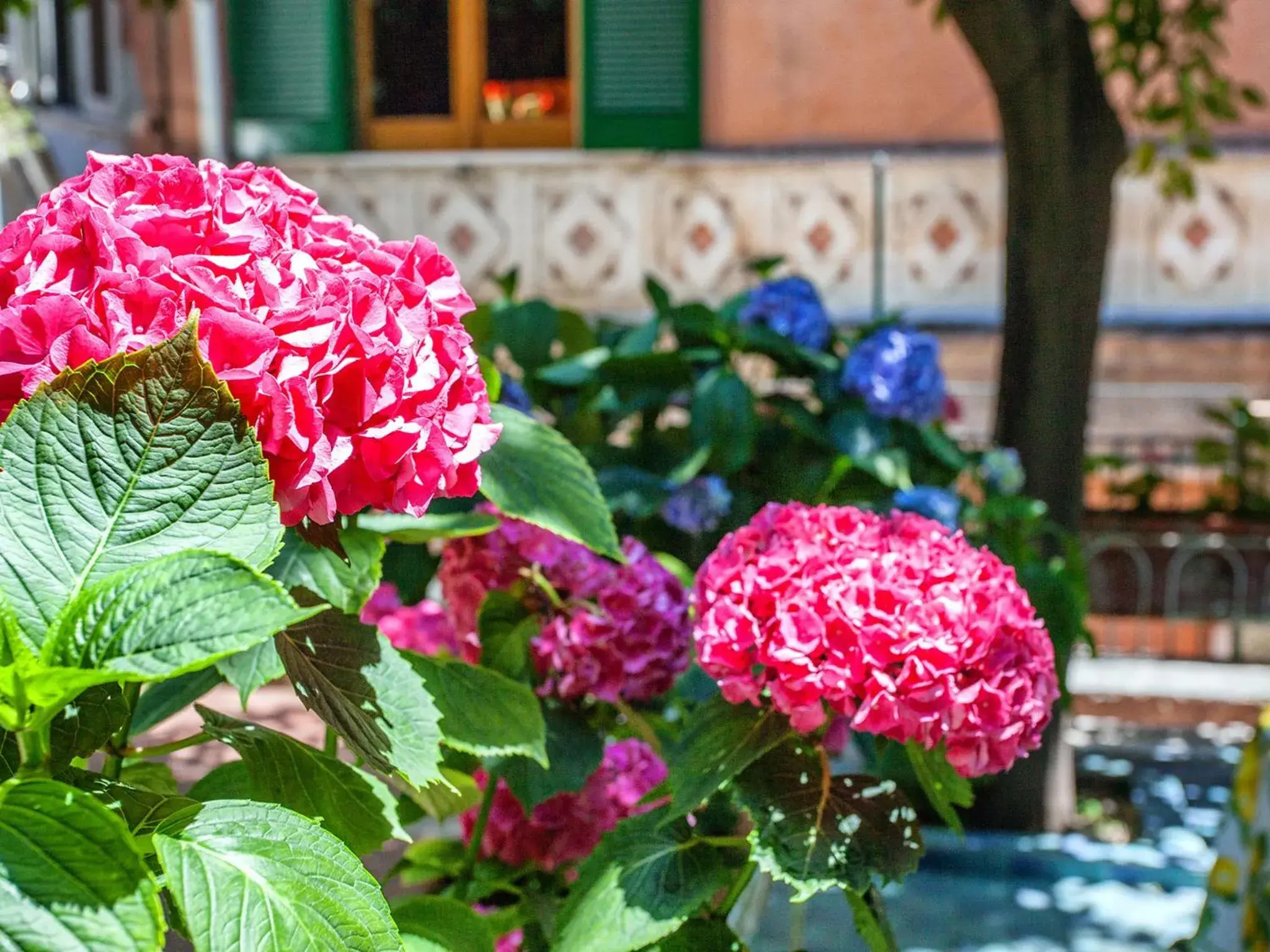 Decorative detail in Hotel Amalfi