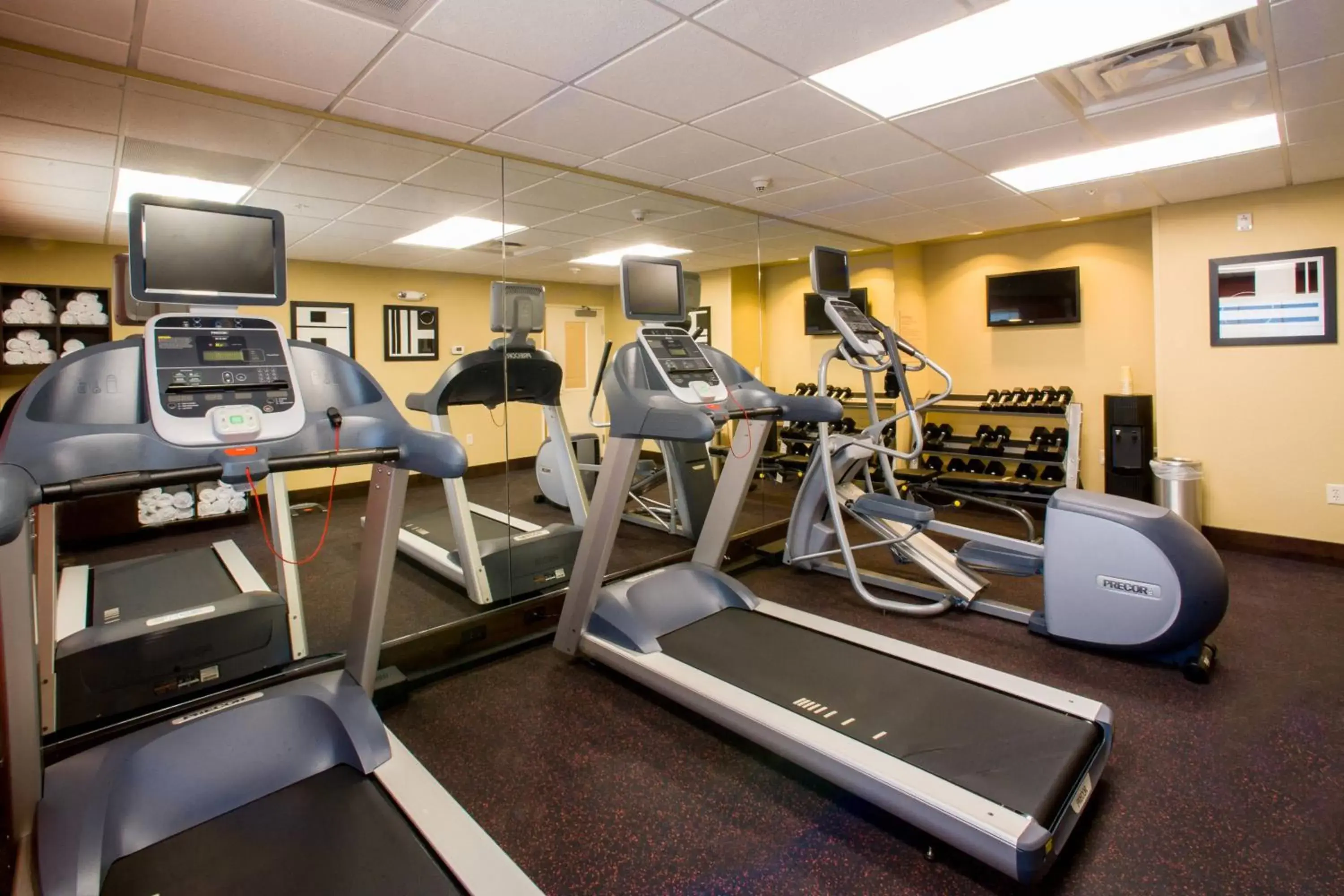 Fitness centre/facilities, Fitness Center/Facilities in TownePlace Suites by Marriott Roswell