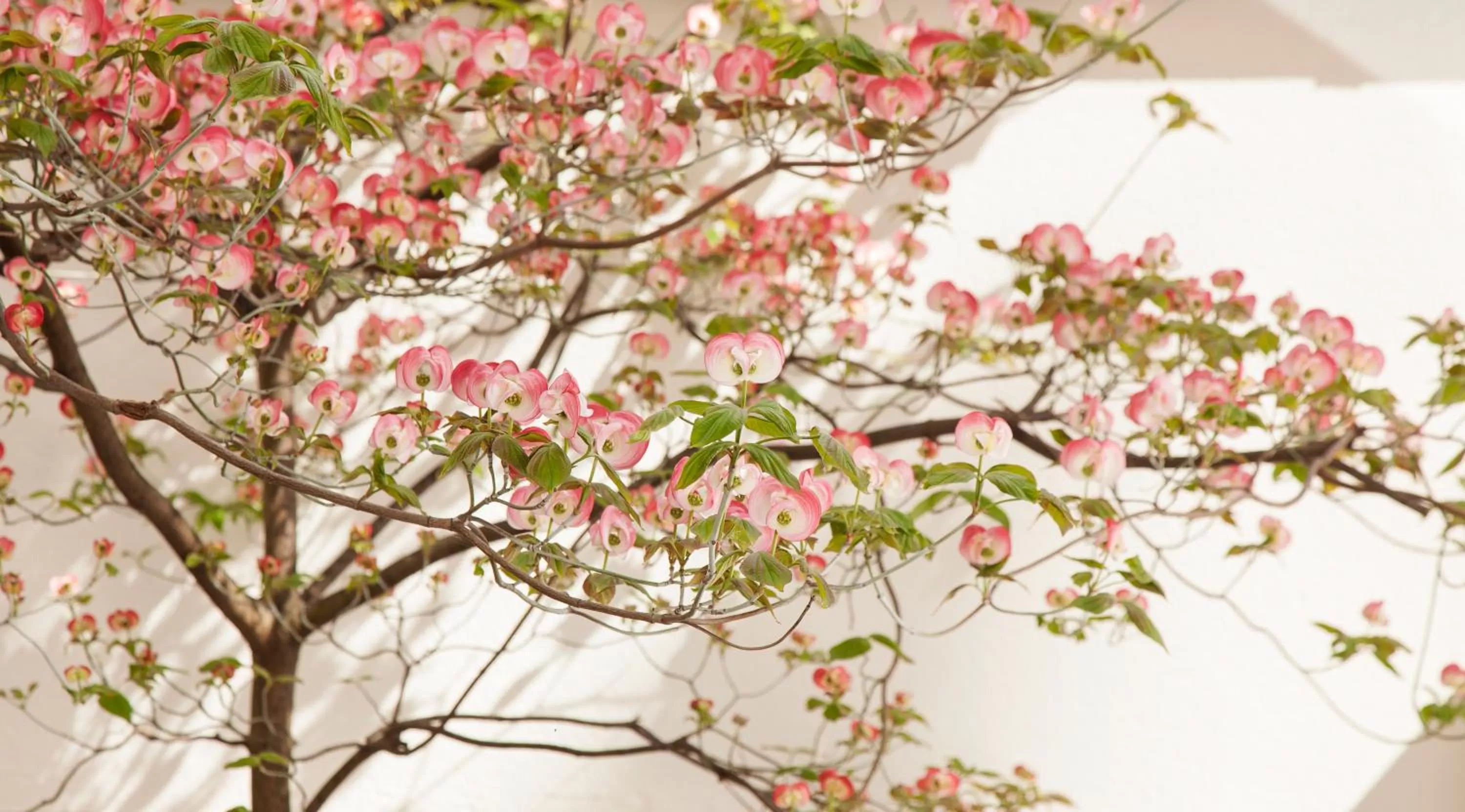 Decorative detail in Hôtel Mistral
