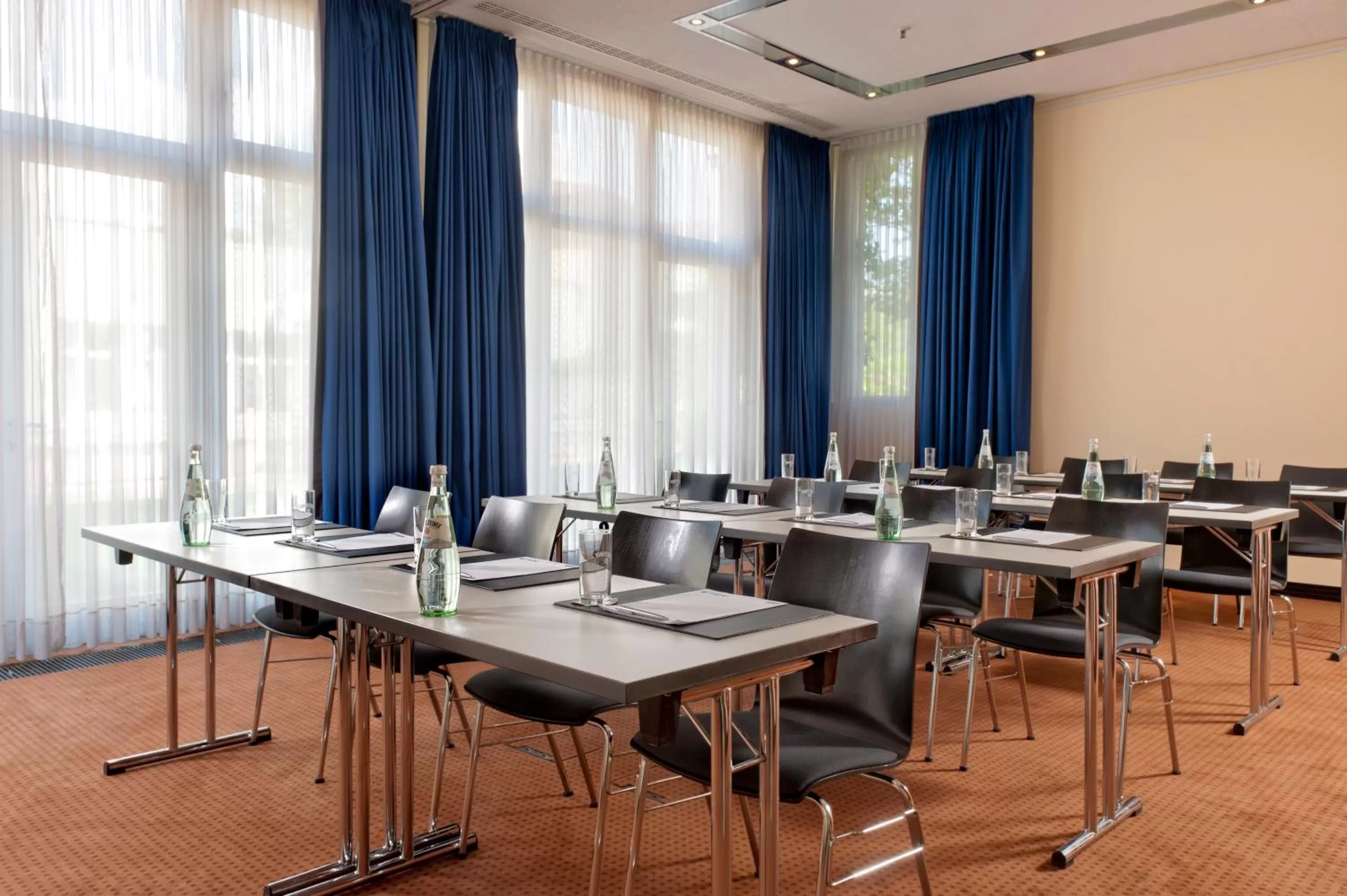 Business facilities in Radisson Blu Park Hotel & Conference Centre