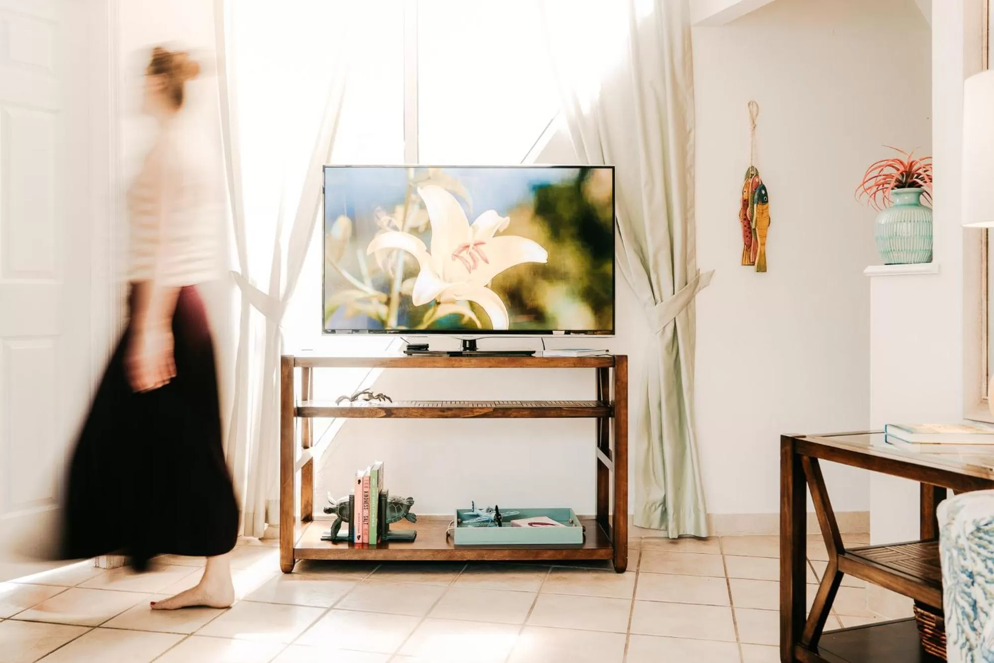 TV and multimedia in Pyramids in Florida