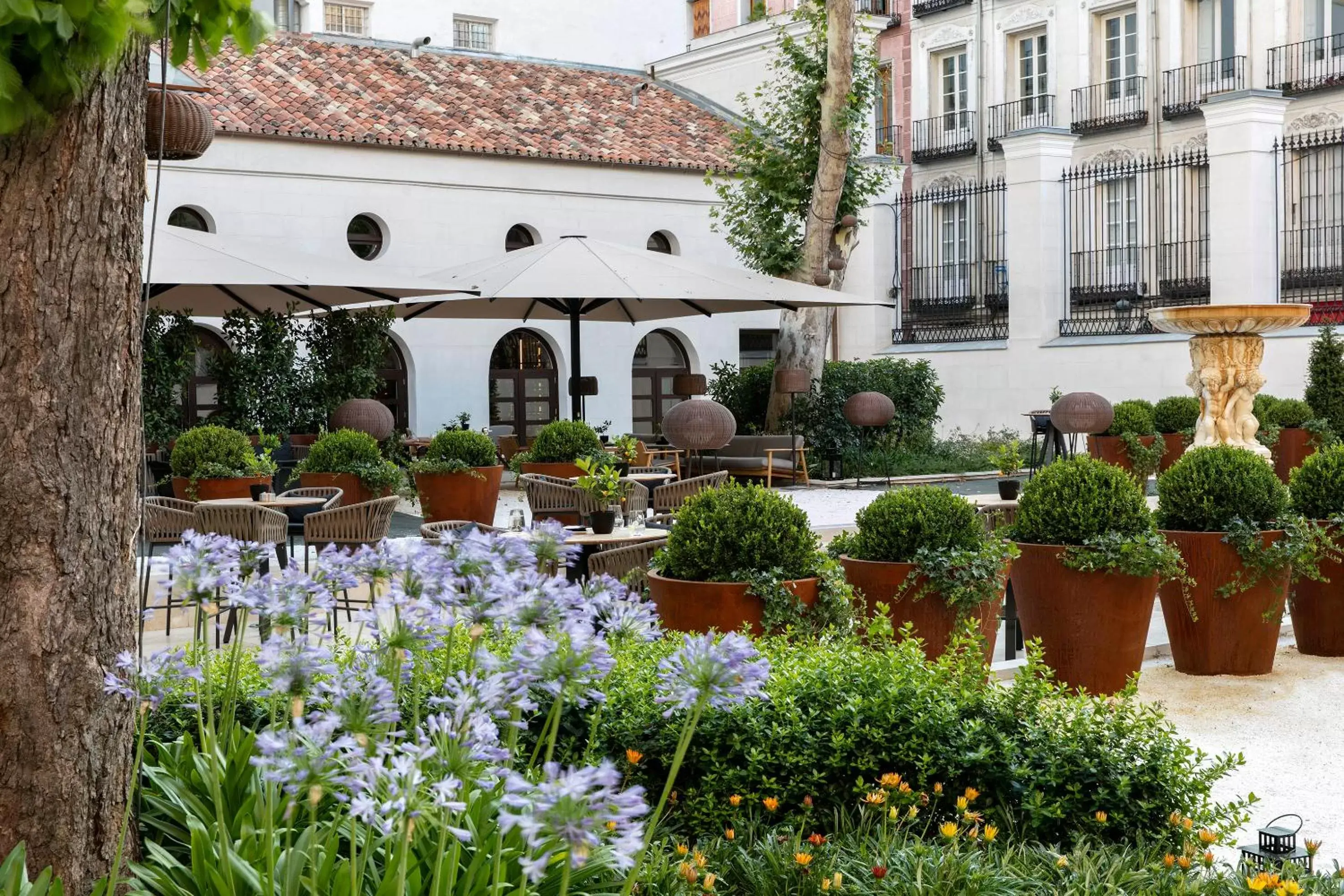 Garden, Property Building in Palacio de los Duques Gran Meliá - The Leading Hotels of the World