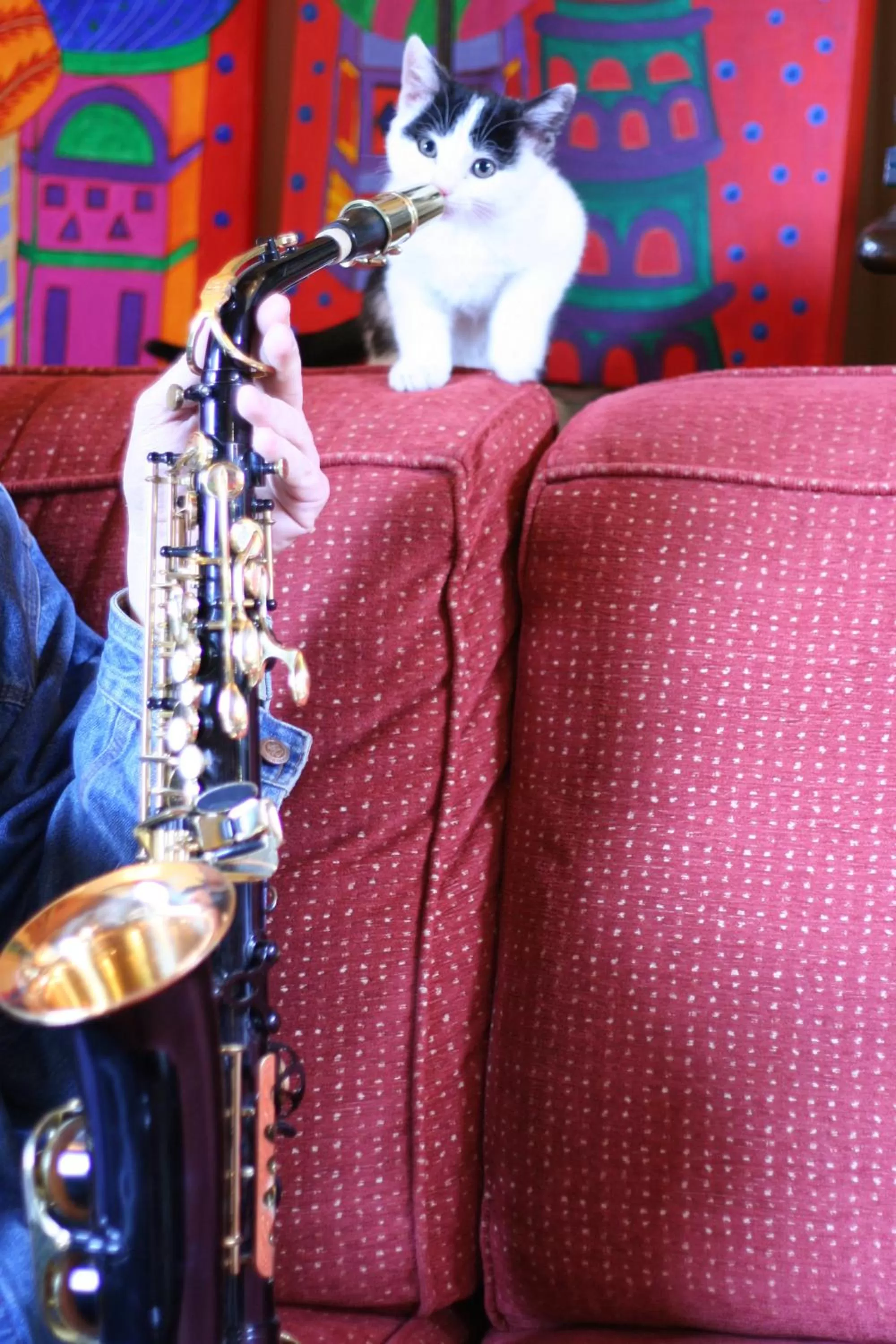 Restaurant/places to eat in La Locanda Di San Francesco