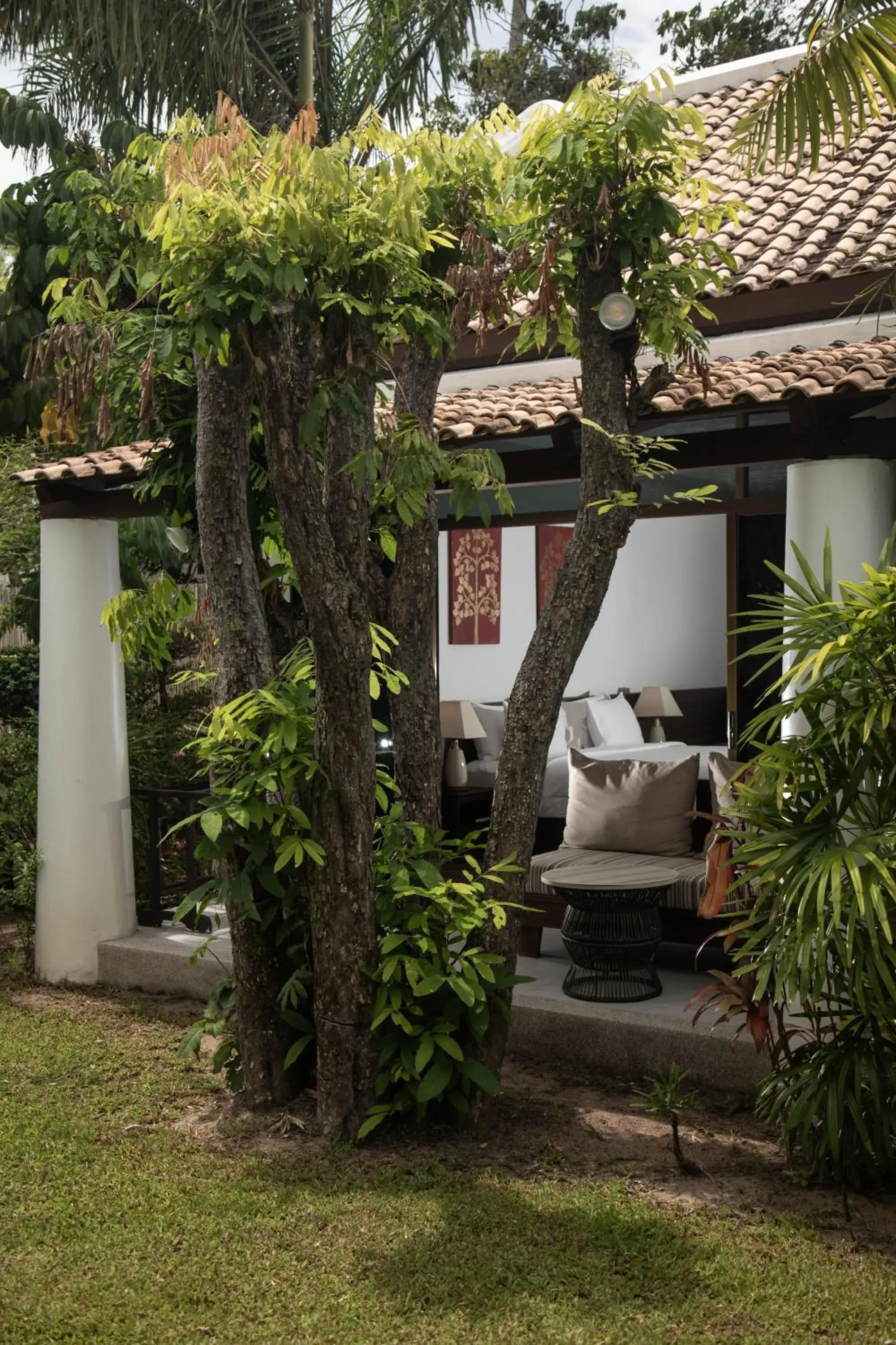 Garden view in Celes Samui Garden view in Celes Samui