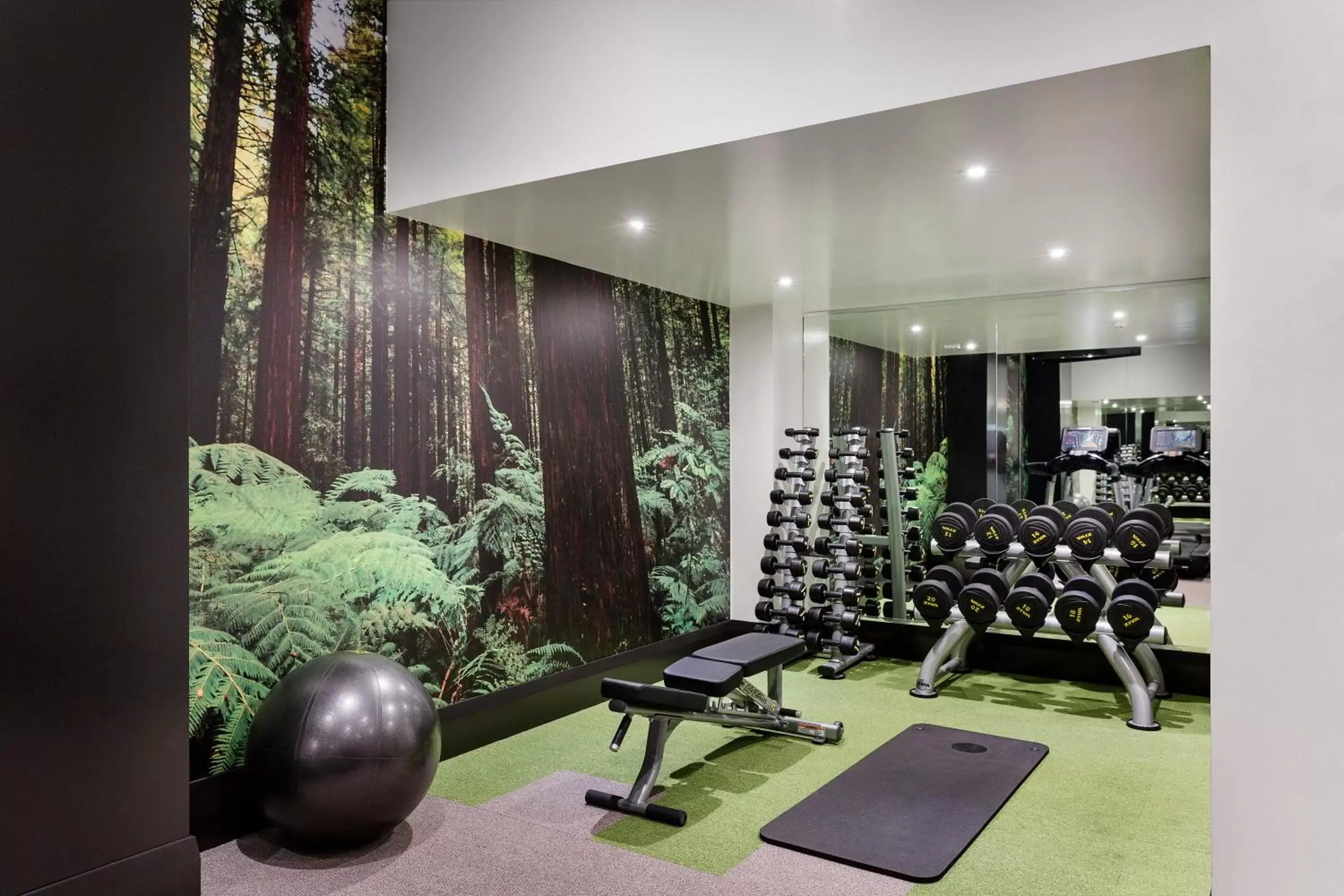 Fitness centre/facilities, Fitness Center/Facilities in Mövenpick Hotel Wellington