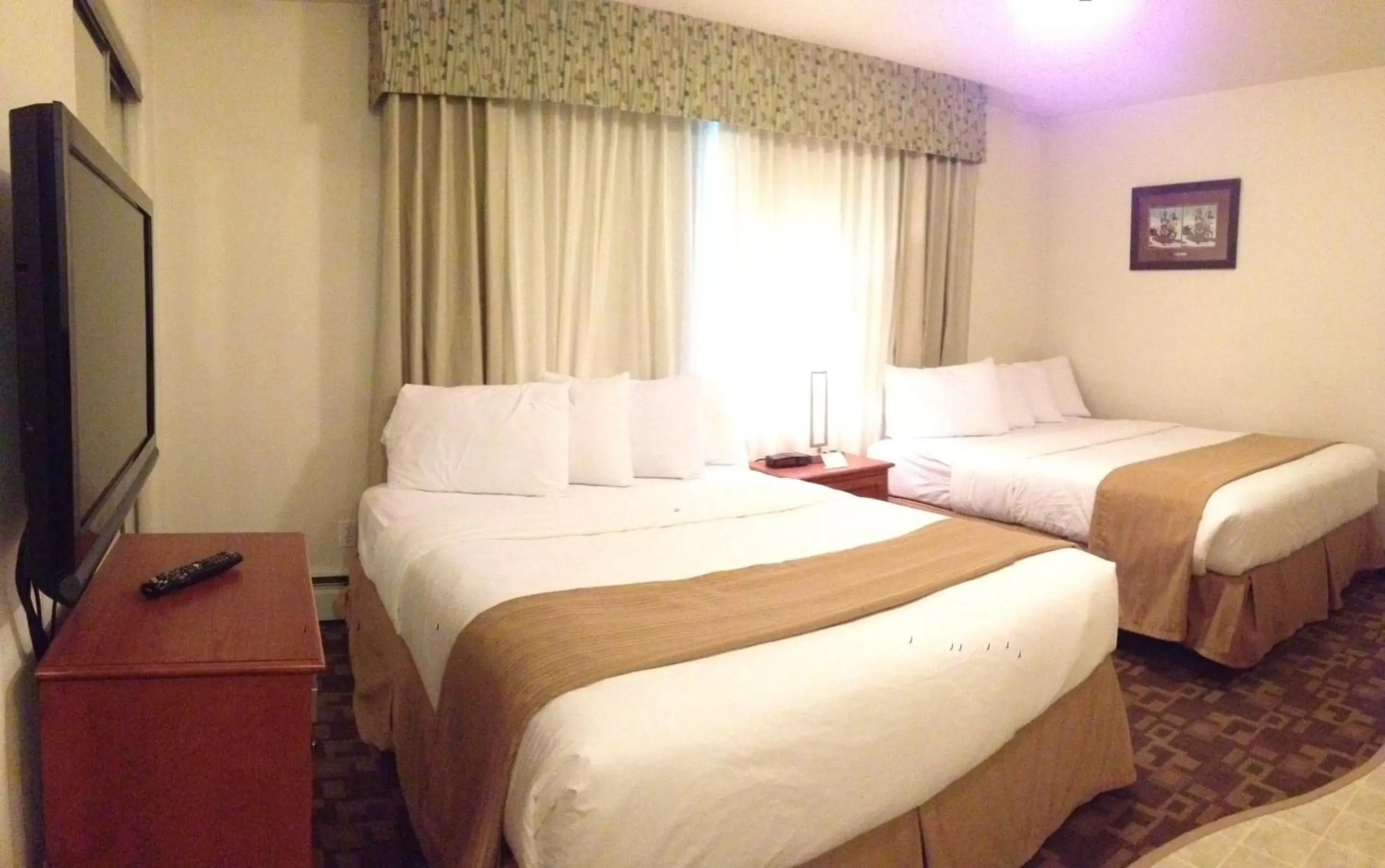 Photo of the whole room, Bed in Alaska's Select Inn Wasilla
