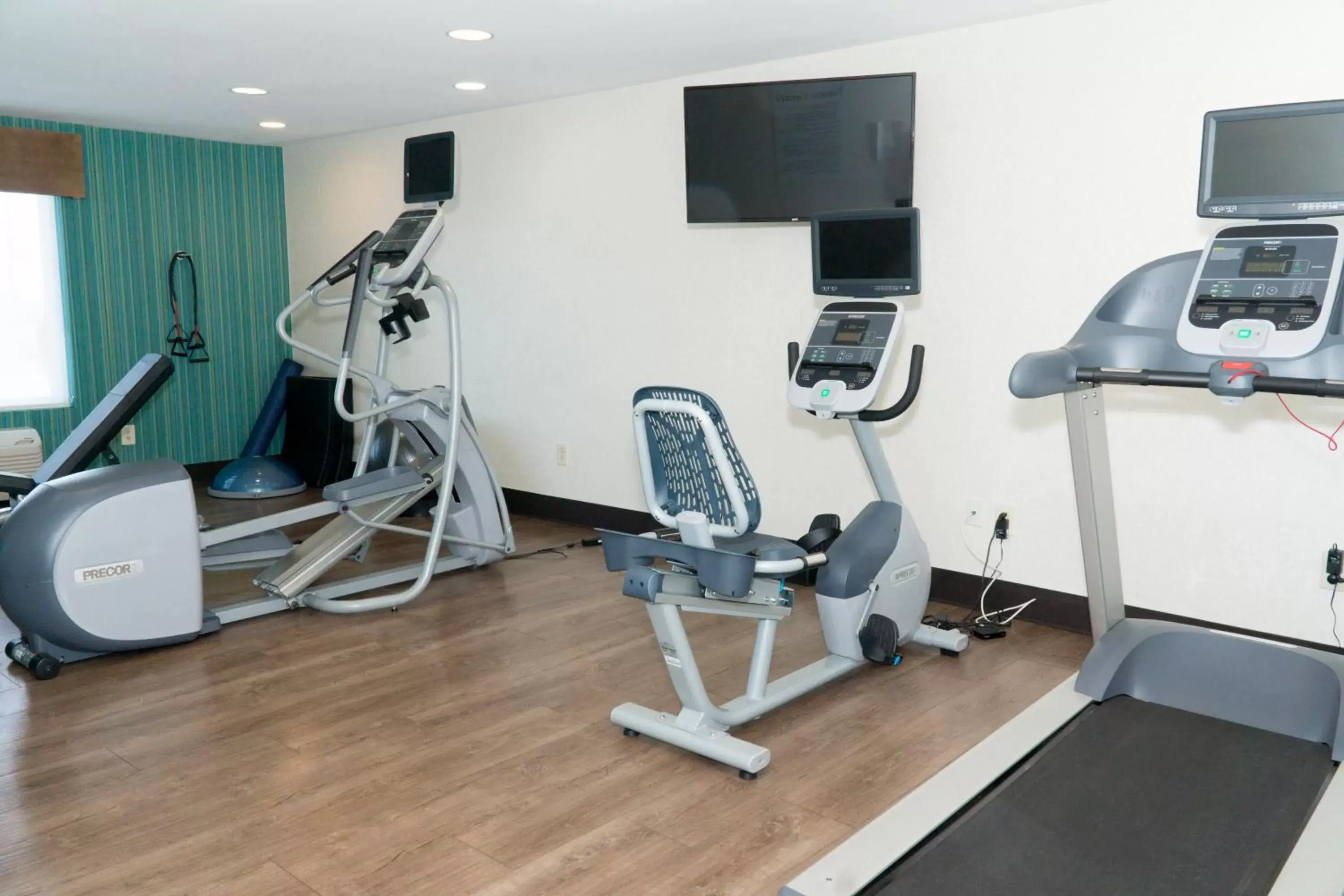 Spa and wellness centre/facilities, Fitness Center/Facilities in Holiday Inn Express Hotel & Suites Madison, an IHG Hotel